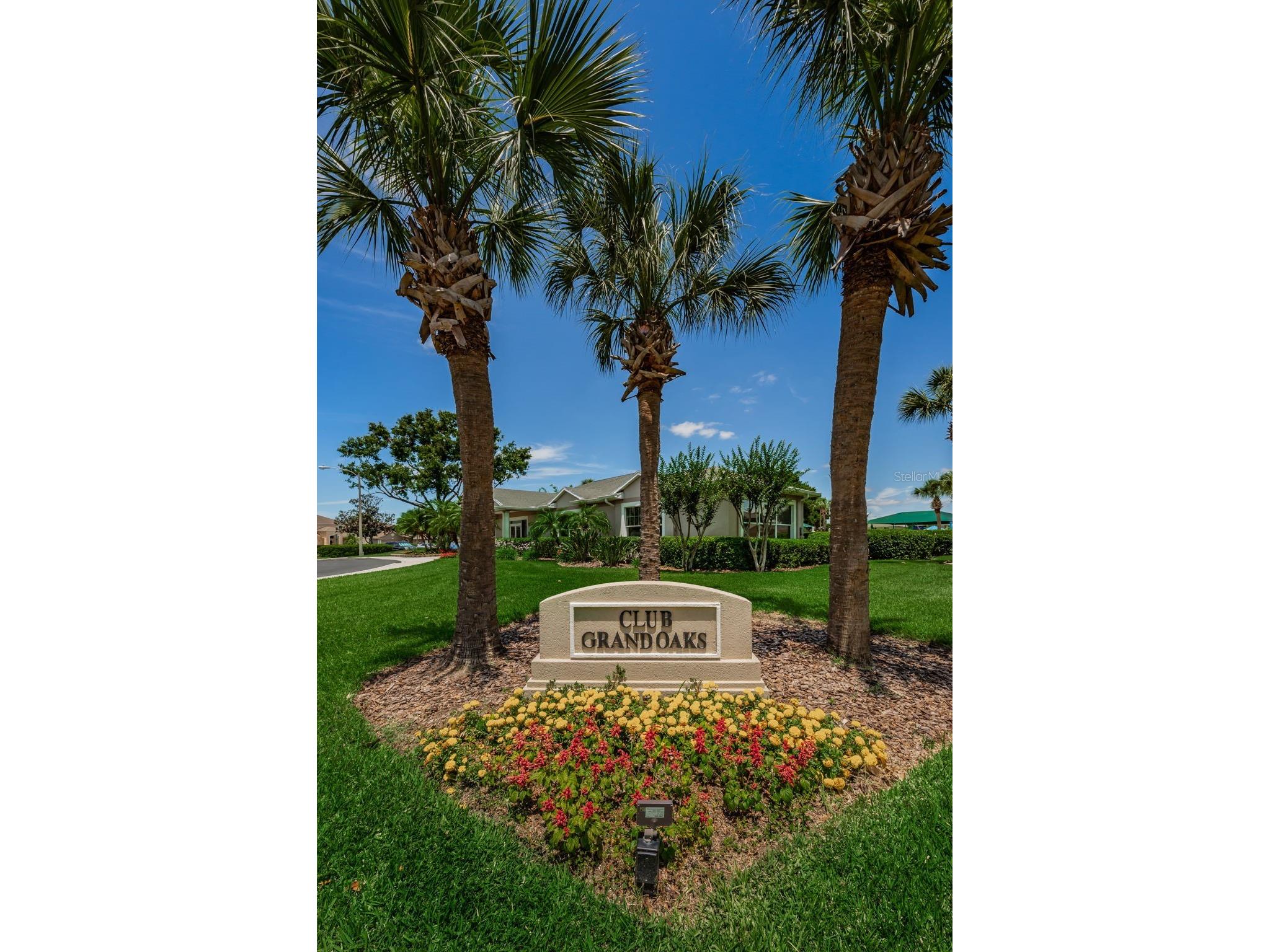 25841 Crippen Drive Land O Lakes FL 34639 TB8493086 image32