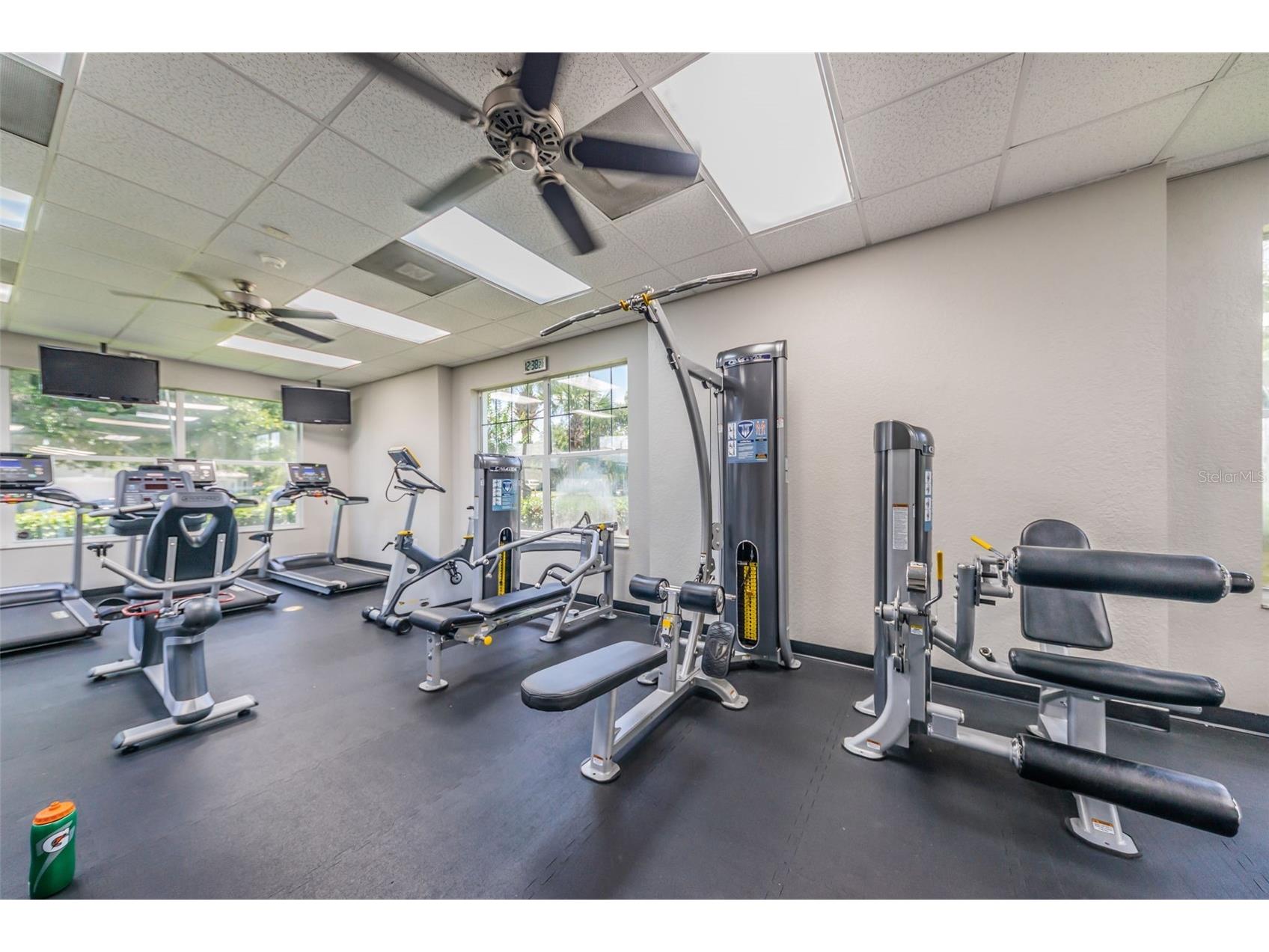 25841 Crippen Drive Land O Lakes FL 34639 TB8493086 image36