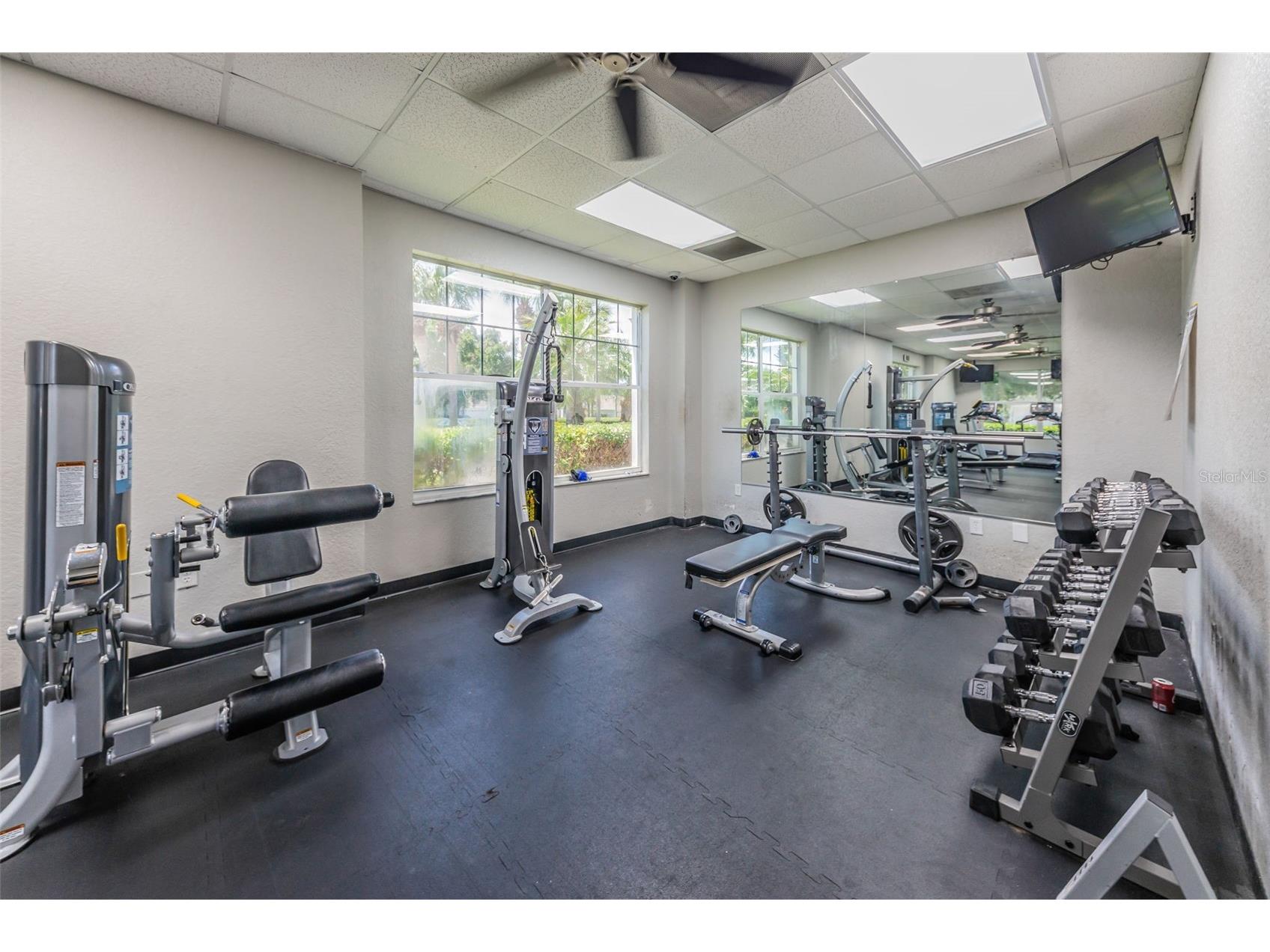 25841 Crippen Drive Land O Lakes FL 34639 TB8493086 image38