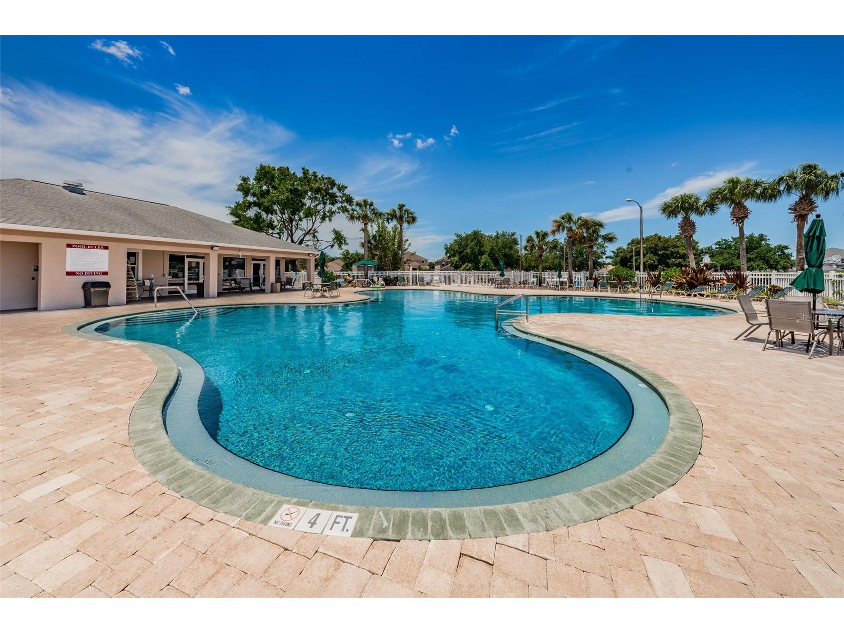 25841 Crippen Drive Land O Lakes FL 34639 TB8493086 image43