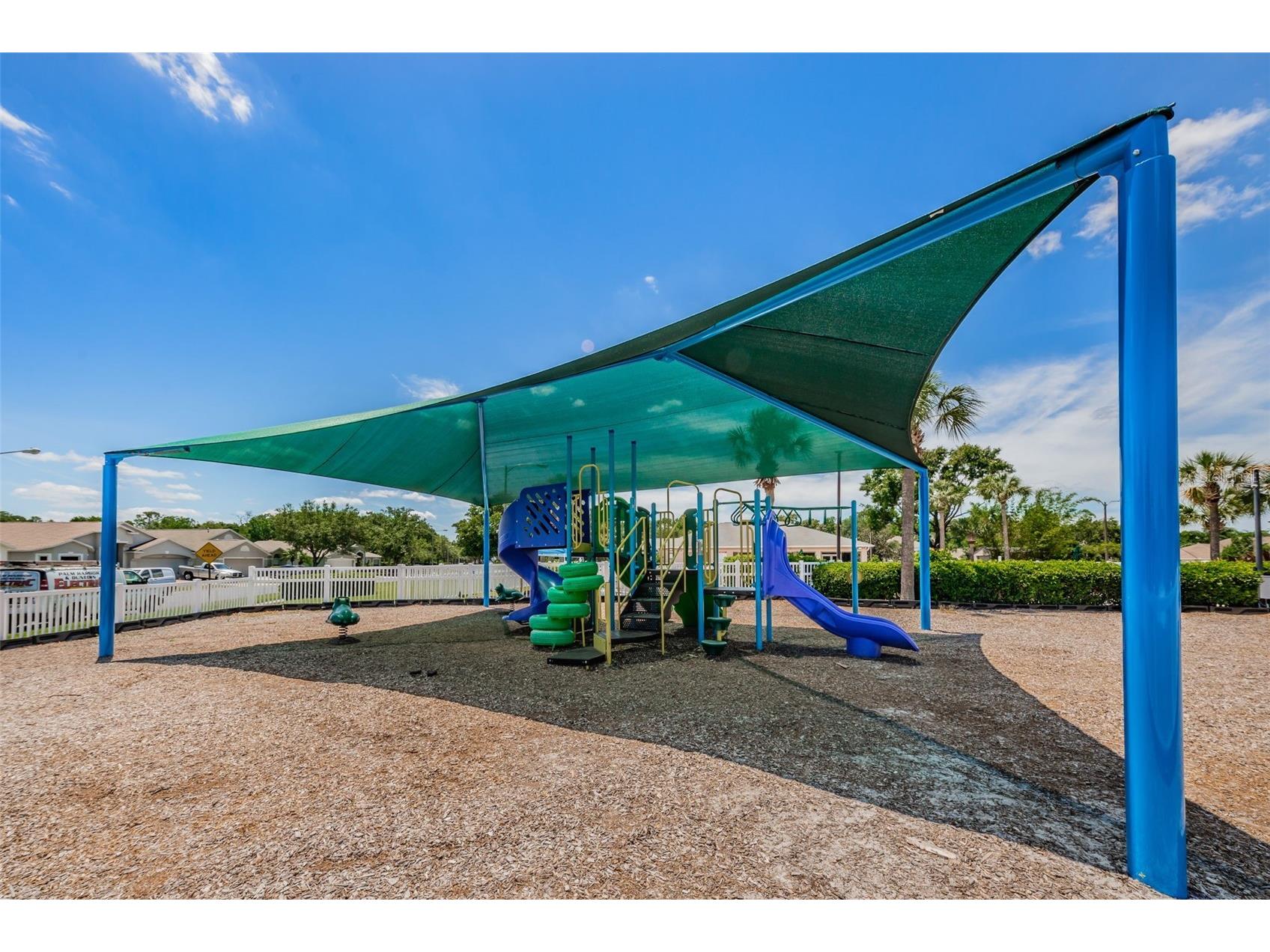 25841 Crippen Drive Land O Lakes FL 34639 TB8493086 image47