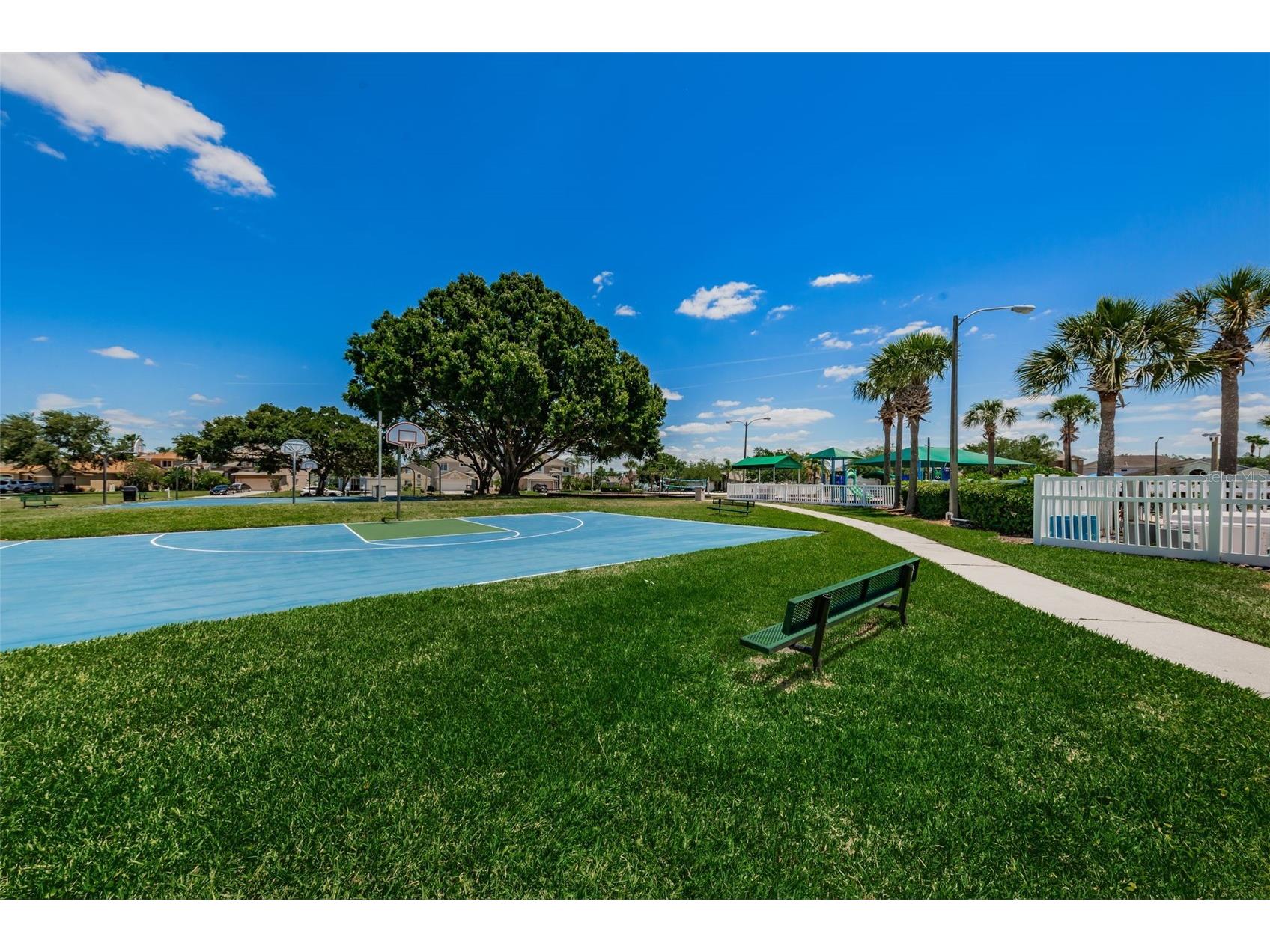 25841 Crippen Drive Land O Lakes FL 34639 TB8493086 image50