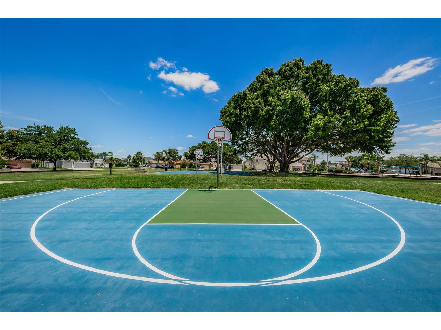 25841 Crippen Drive Land O Lakes FL 34639 TB8493086 image51