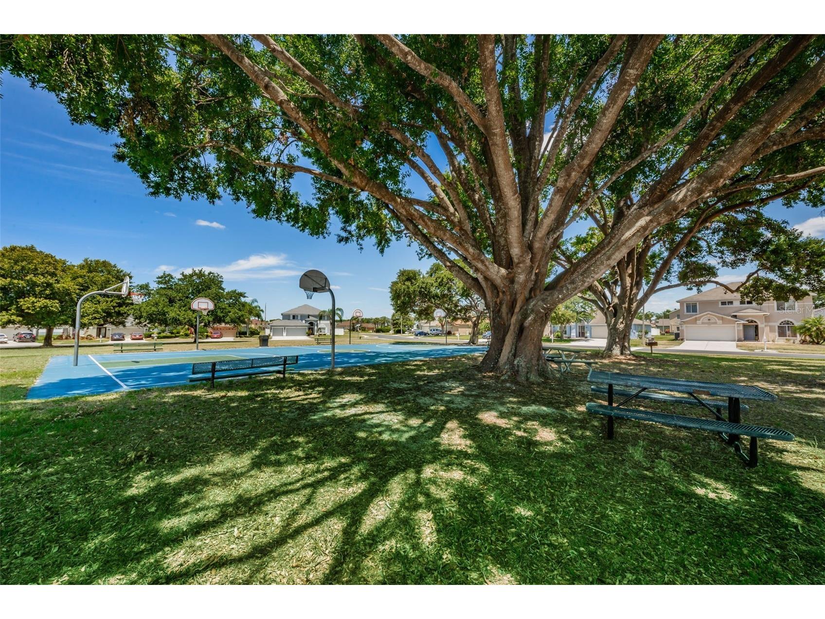 25841 Crippen Drive Land O Lakes FL 34639 TB8493086 image52