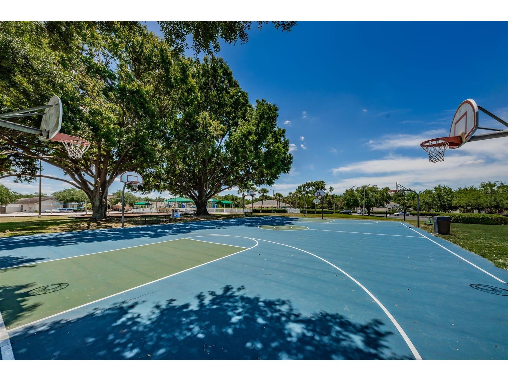 25841 Crippen Drive Land O Lakes FL 34639 TB8493086 image53