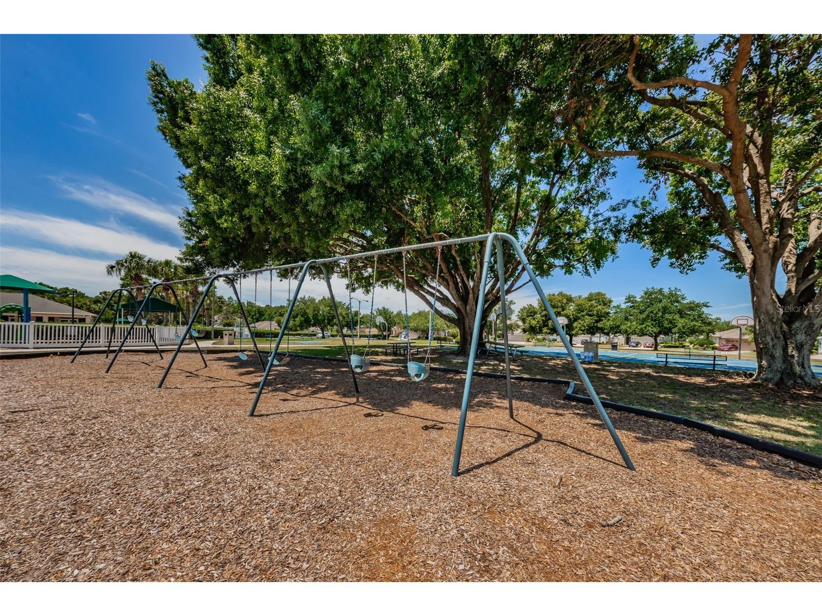 25841 Crippen Drive Land O Lakes FL 34639 TB8493086 image54