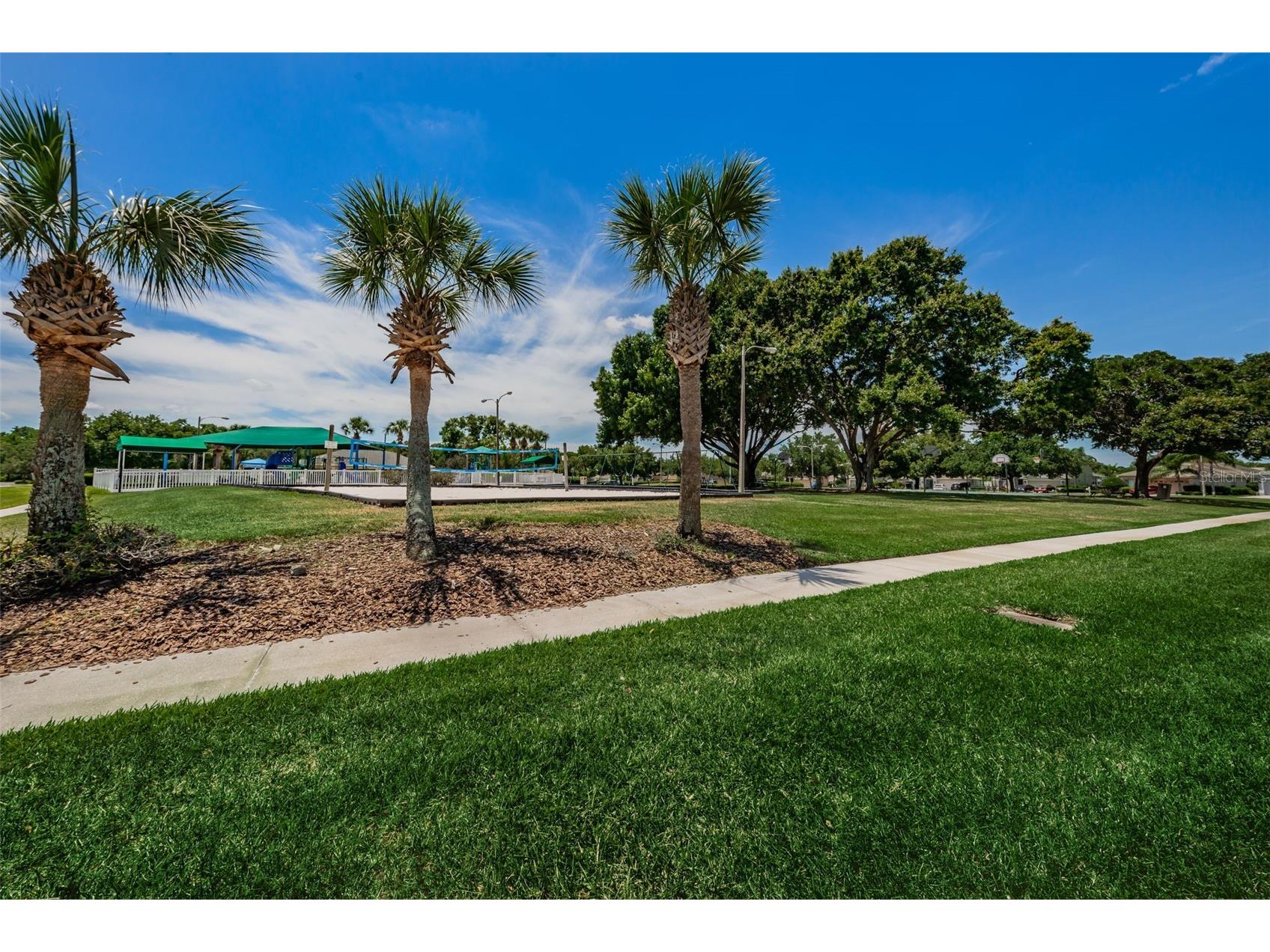 25841 Crippen Drive Land O Lakes FL 34639 TB8493086 image57