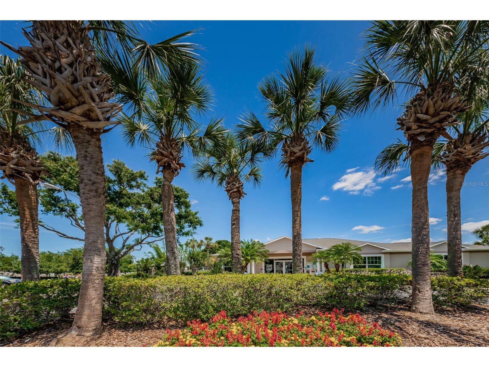 25841 Crippen Drive Land O Lakes FL 34639 TB8493086 image58