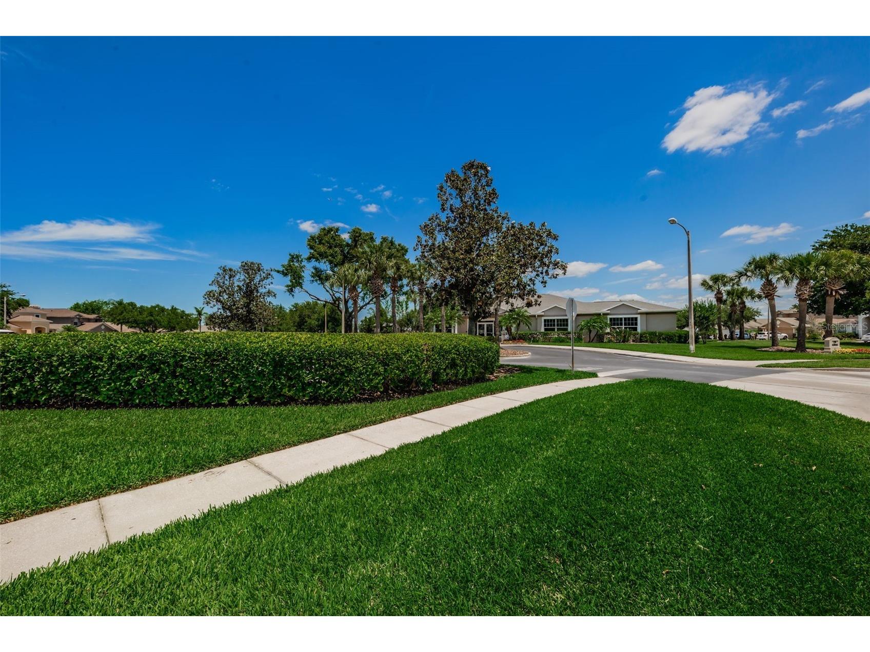 25841 Crippen Drive Land O Lakes FL 34639 TB8493086 image59