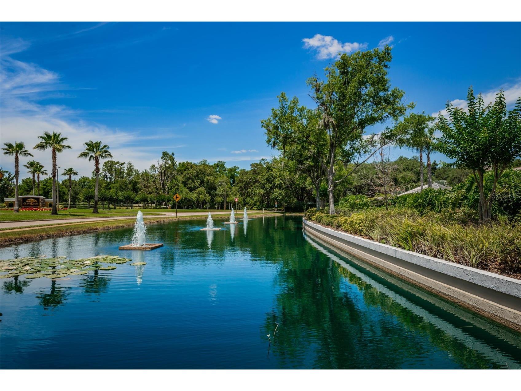 25841 Crippen Drive Land O Lakes FL 34639 TB8493086 image60