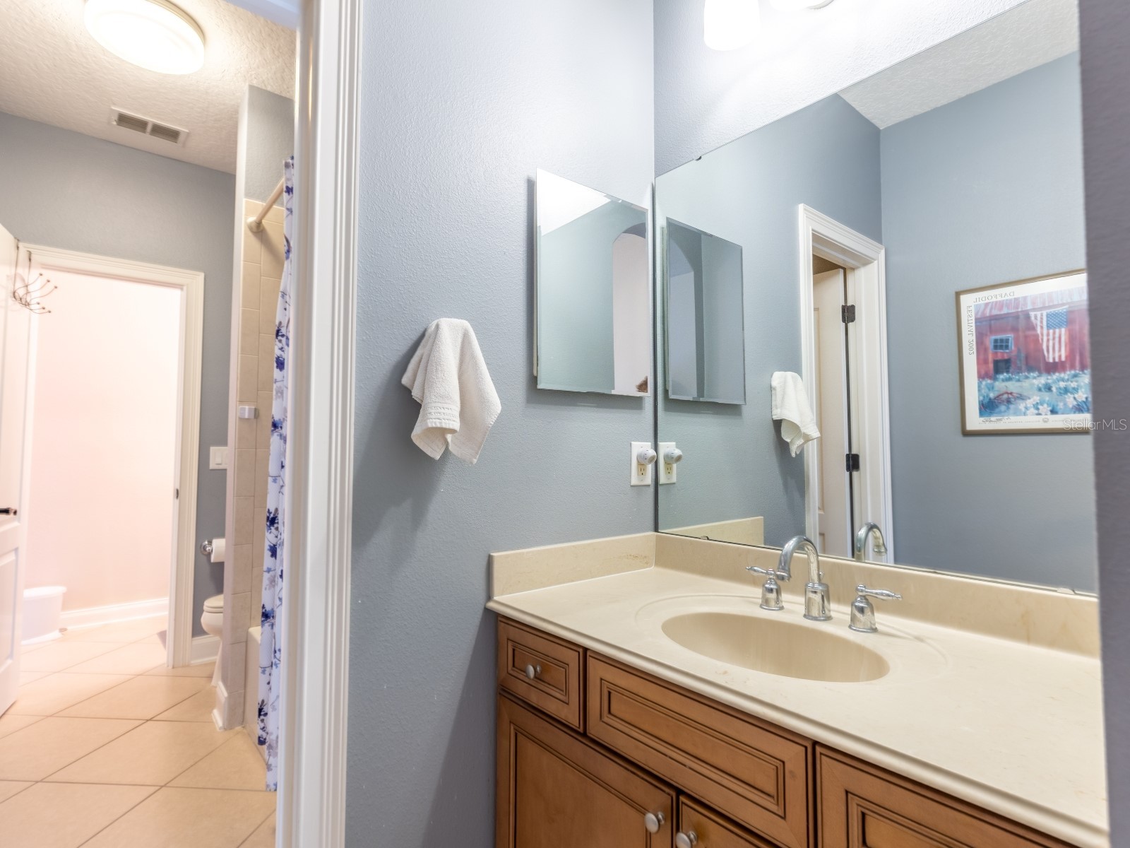 25846 Feather Ridge Lane Sorrento FL 32776 O6418174 image38