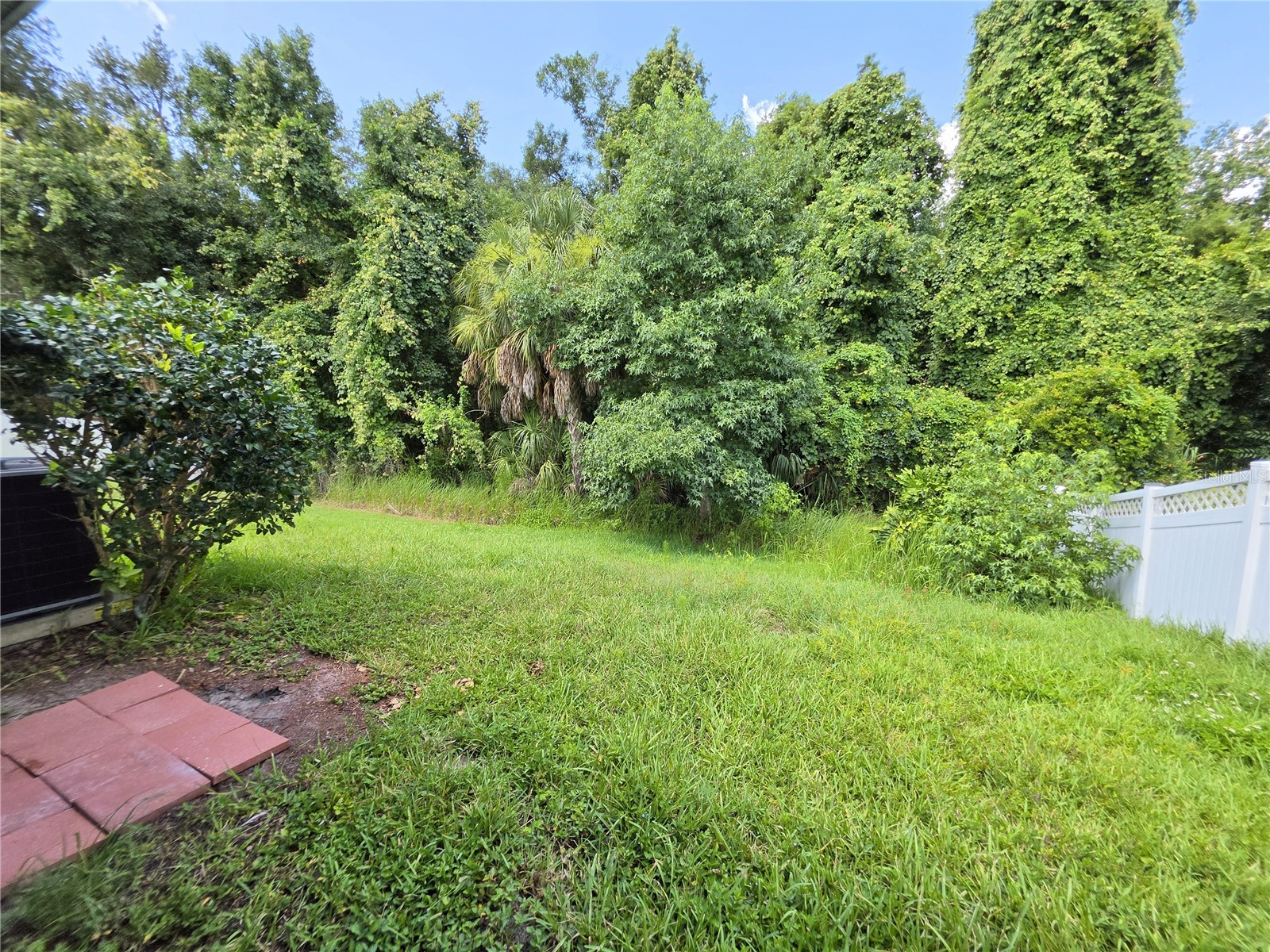 25846 Terrawood Loop Land O Lakes FL 34639 R4911509 image15