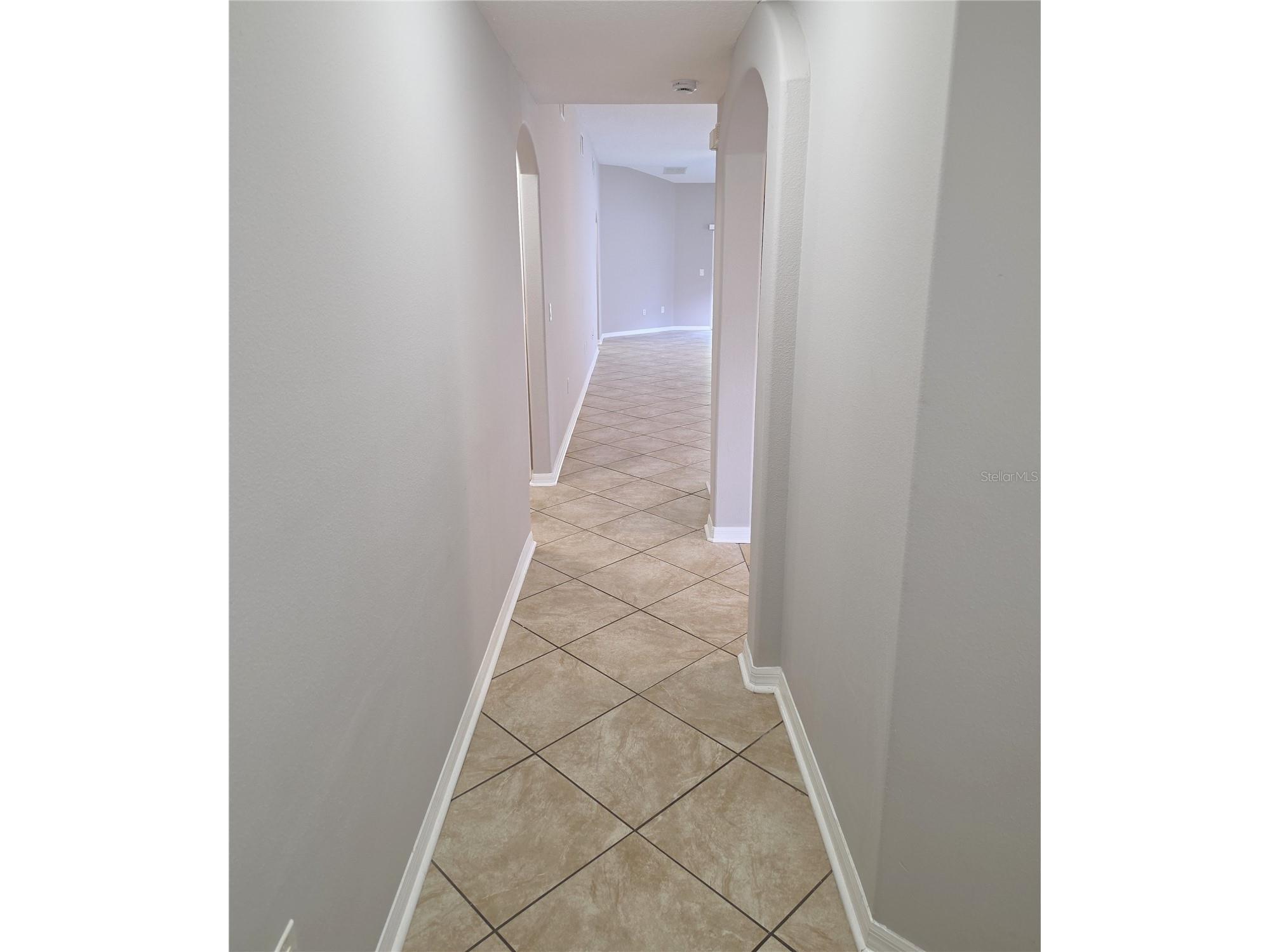 25846 Terrawood Loop Land O Lakes FL 34639 R4911509 image18