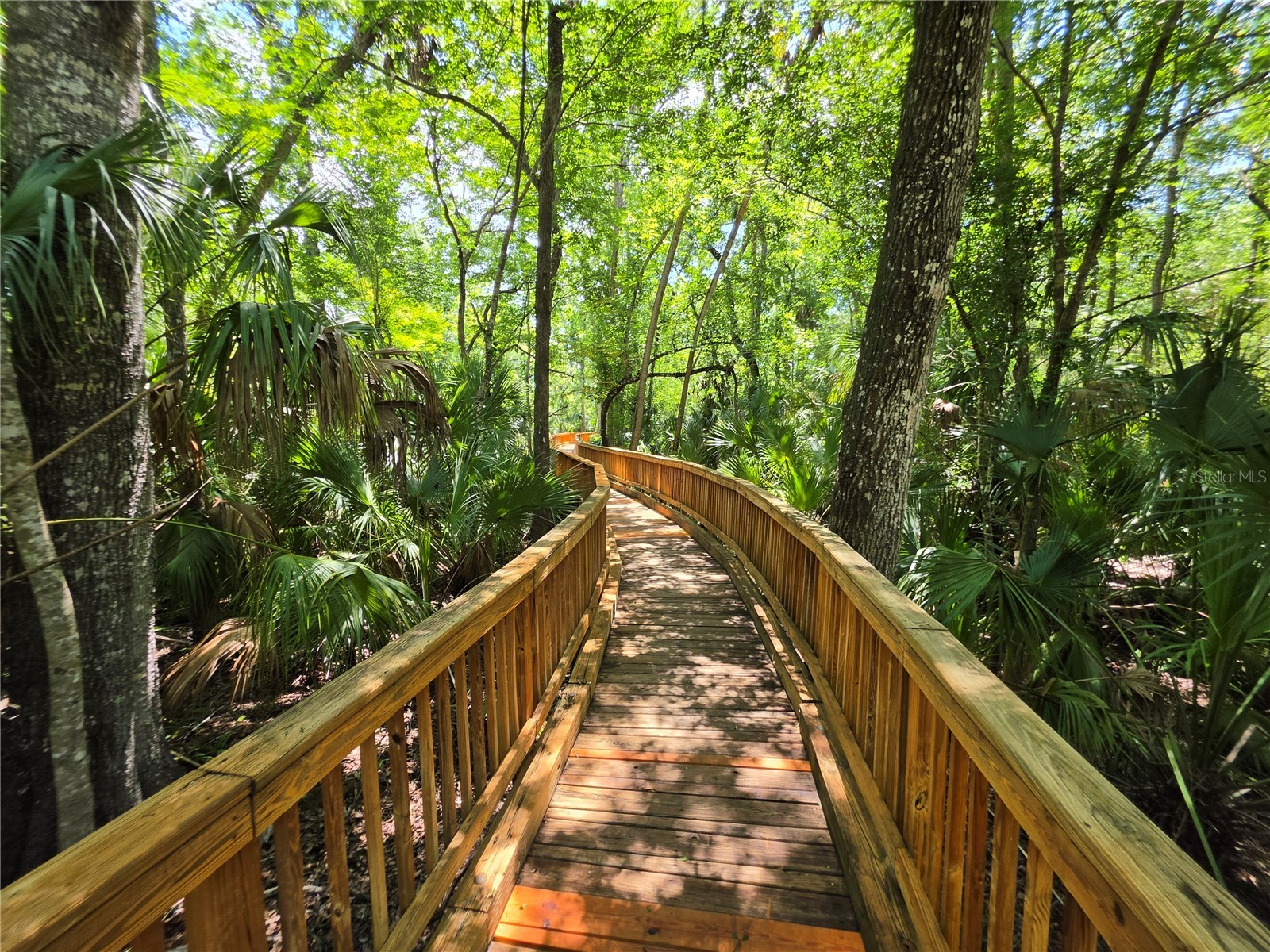 25846 Terrawood Loop Land O Lakes FL 34639 R4911509 image36