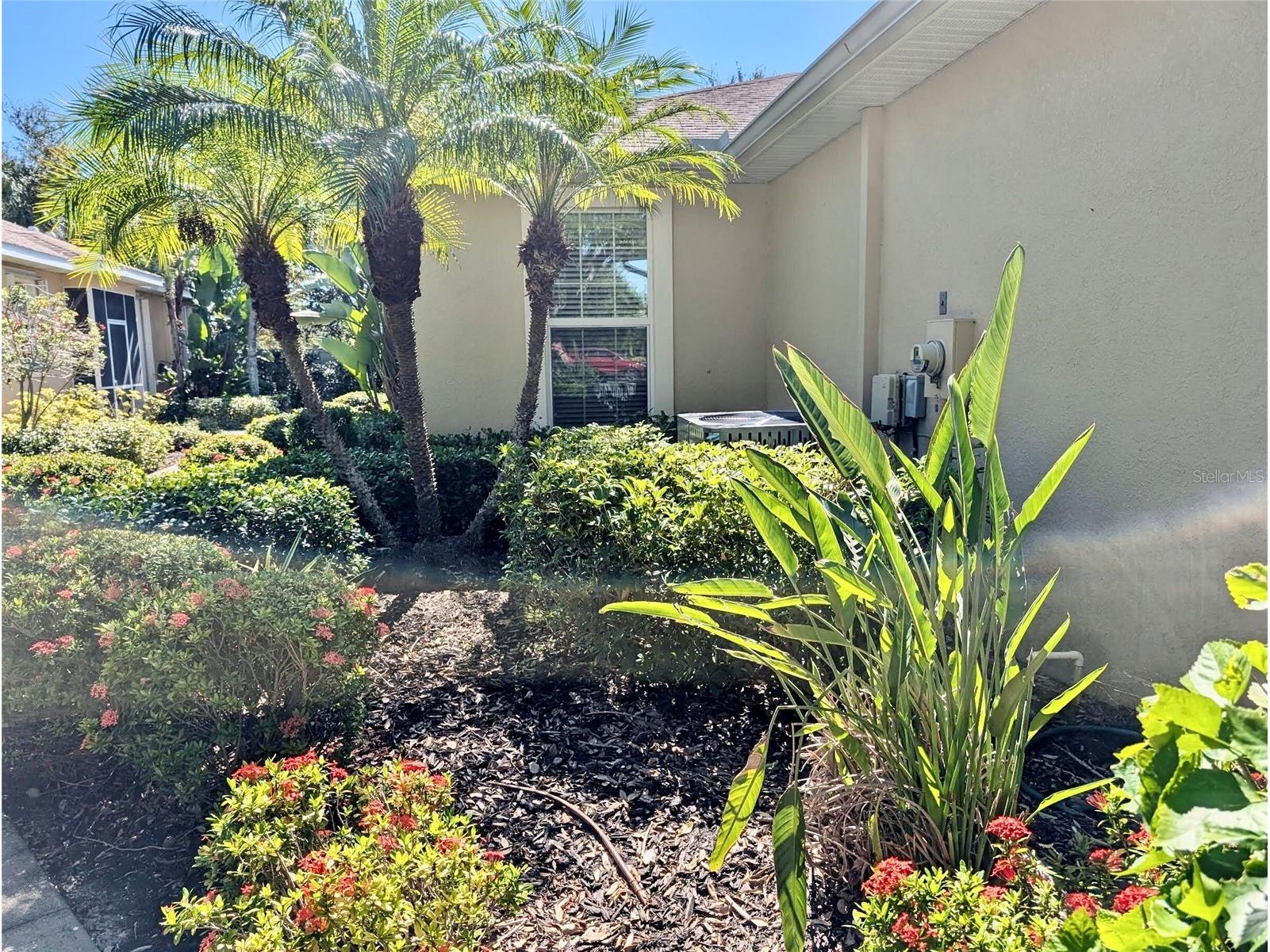 2585 Cortenova Court Venice FL 34292 D6143882 image40