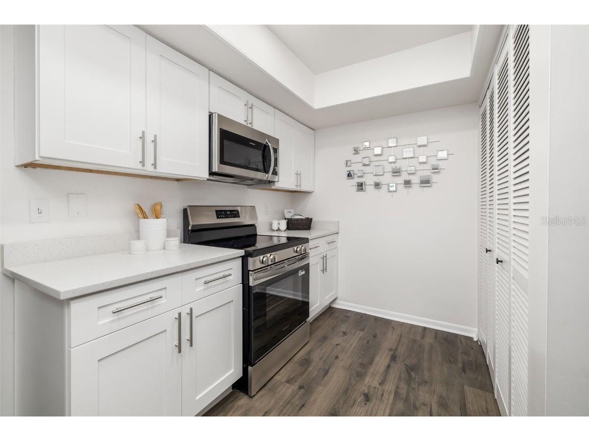 2585 Countryside Boulevard #4302 Clearwater FL 33761 A4663889 image6