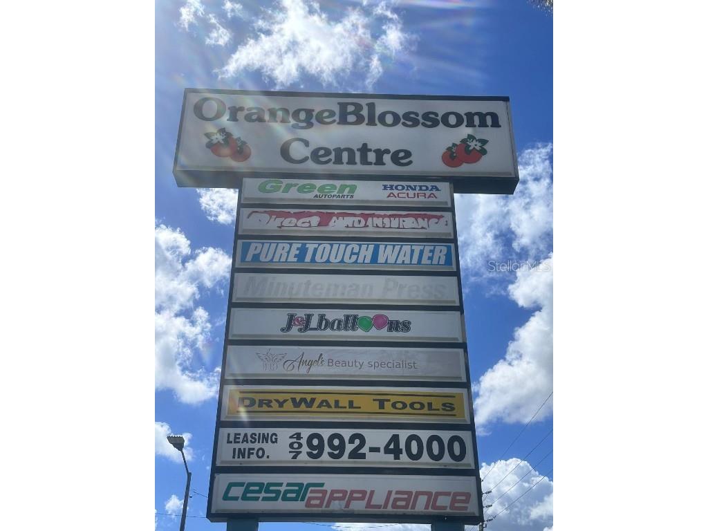 2585 Orange Blossom Kissimmee FL 34744 O6348062 image4