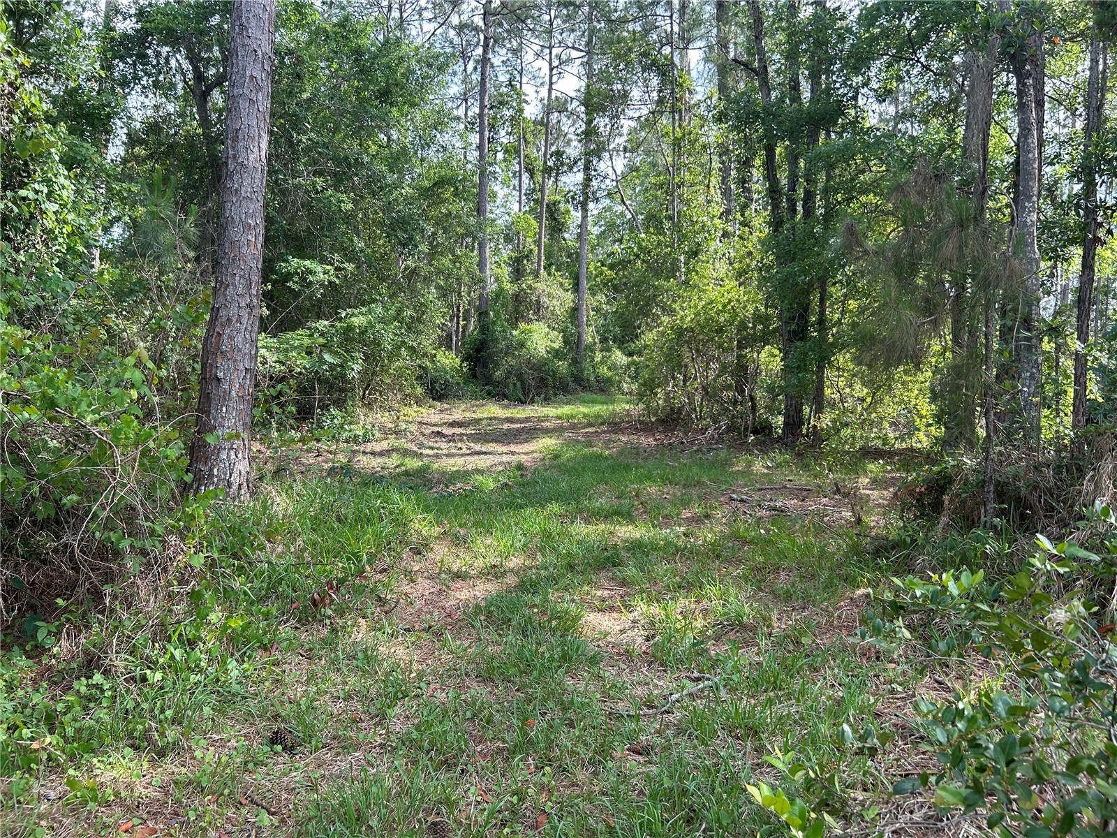 2585 Vista Park Drive Deland FL 32724 V4949044 image11