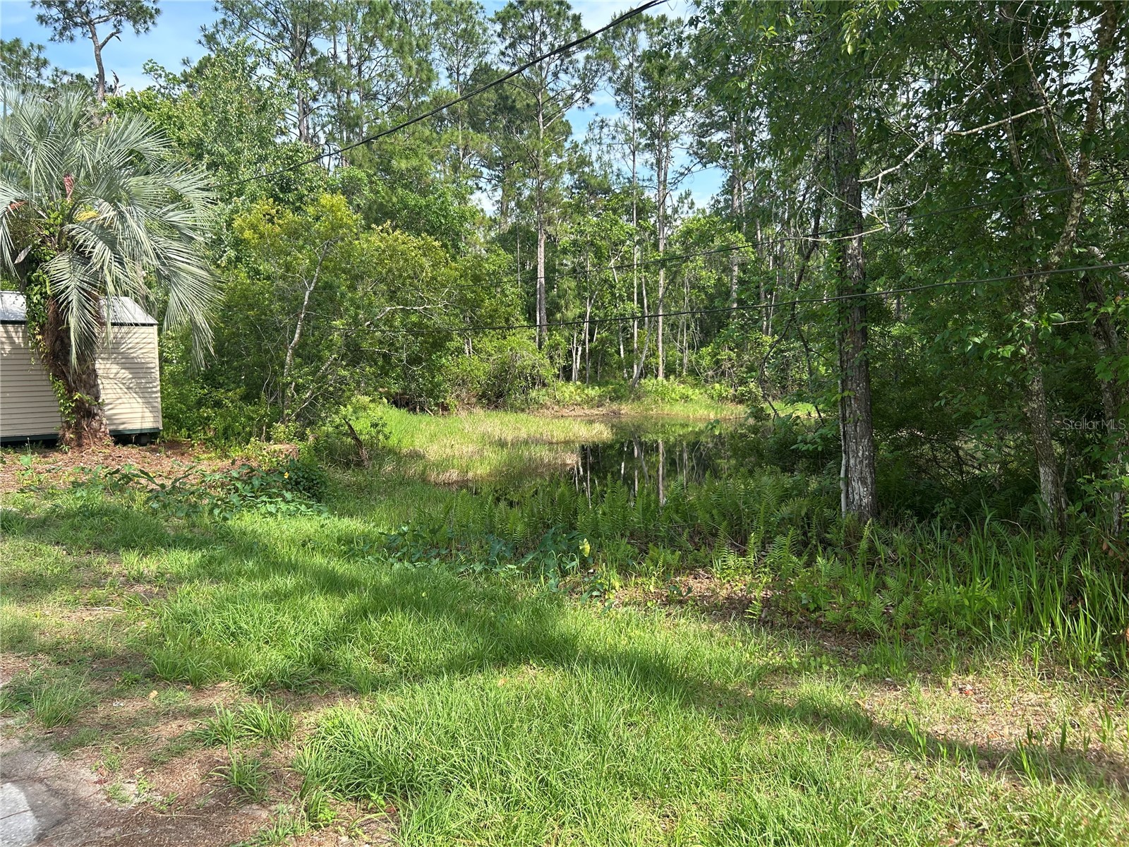2585 Vista Park Drive Deland FL 32724 V4949044 image12