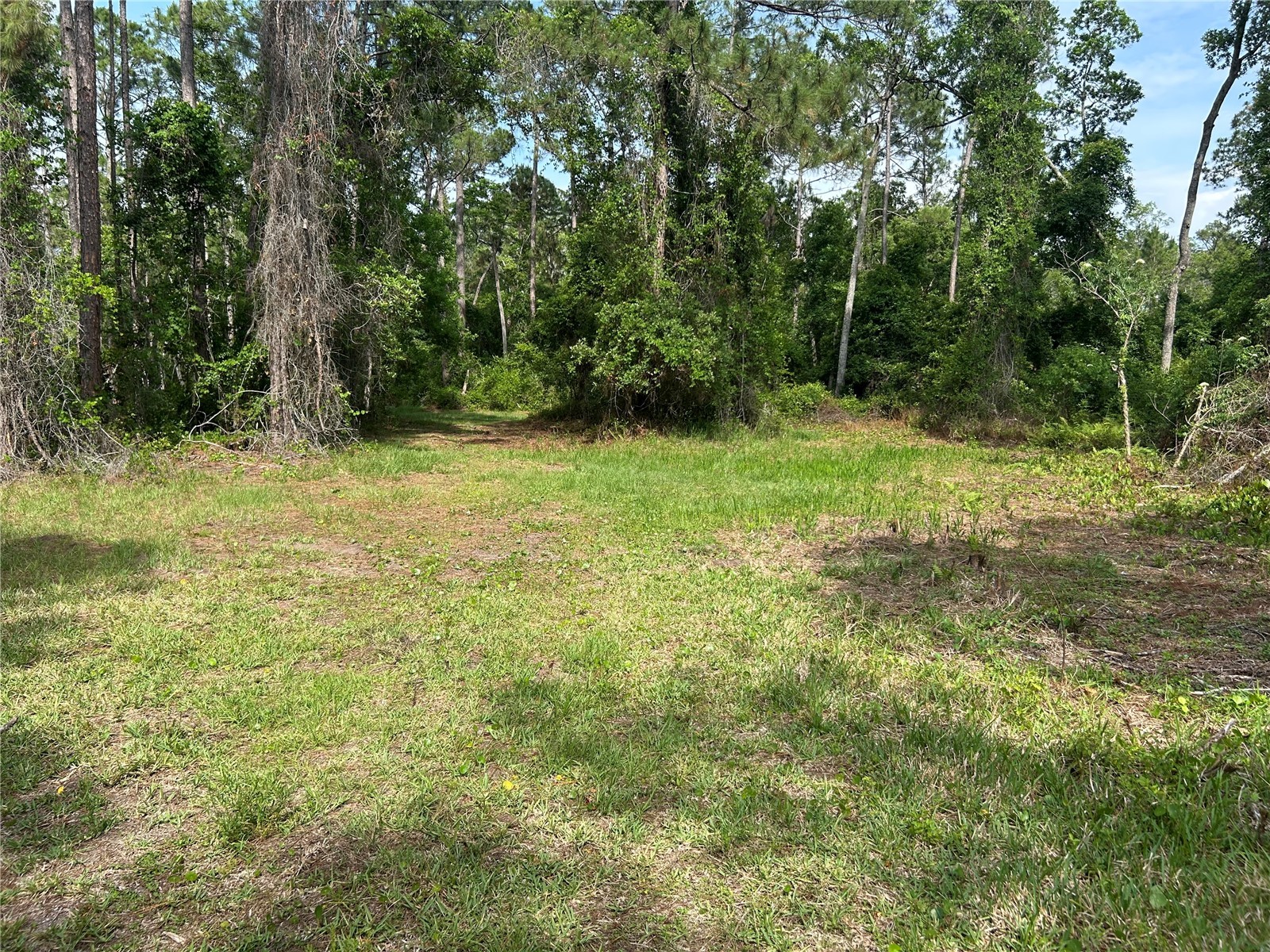 2585 Vista Park Drive Deland FL 32724 V4949044 image13