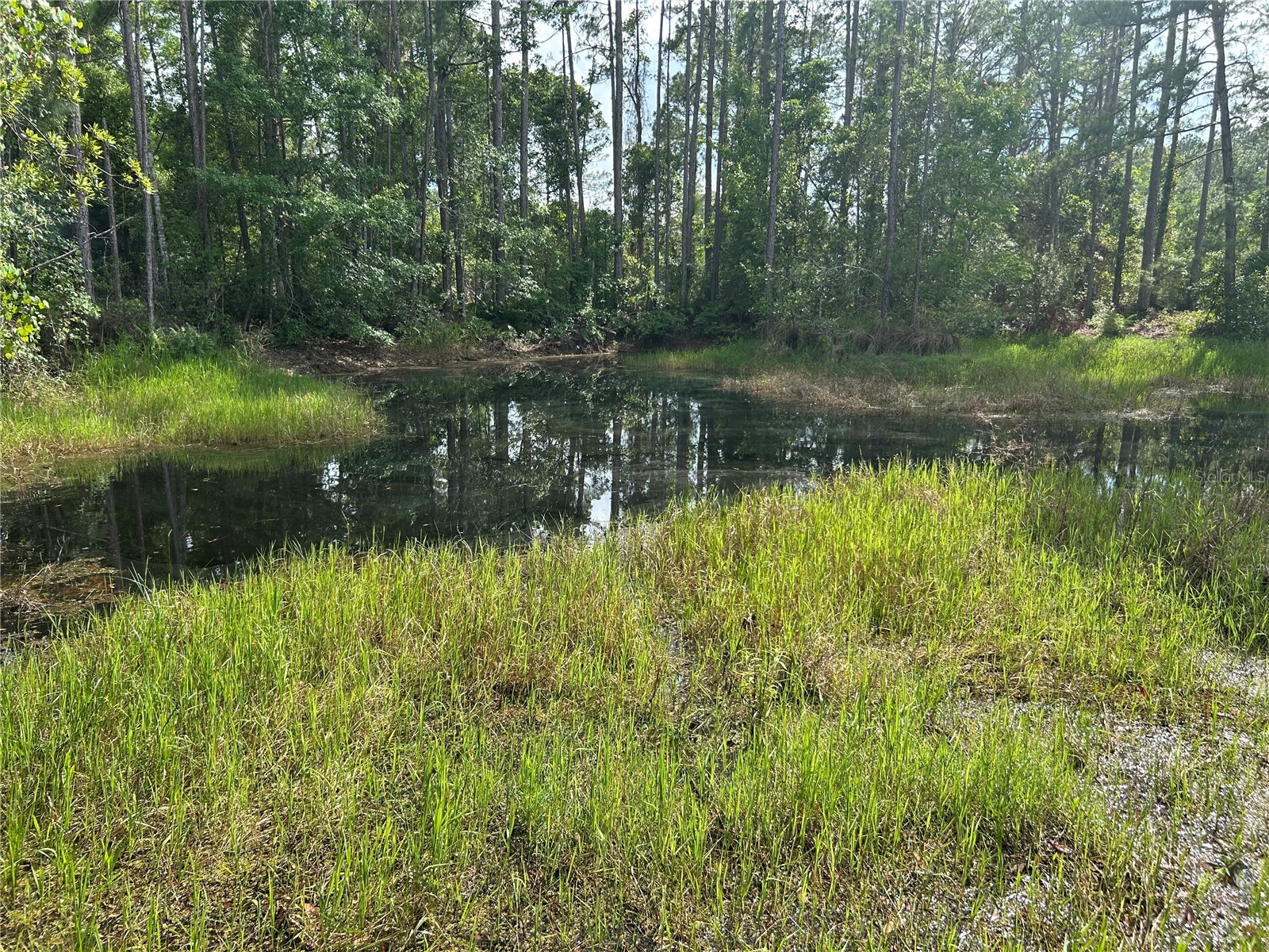 2585 Vista Park Drive Deland FL 32724 V4949044 image9