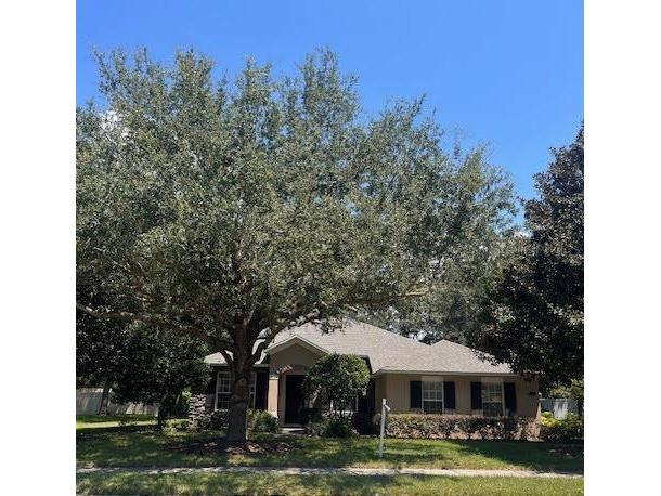 2585 Woodside Ridge Drive Apopka FL 32712 O6312296 image1