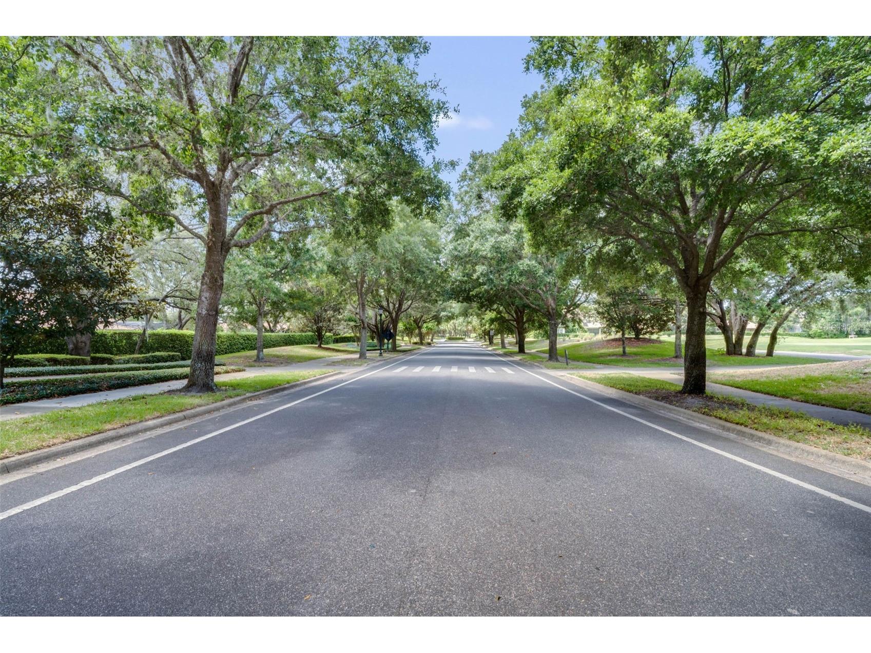 25855 Crossings Bluff Lane Sorrento FL 32776 O6392701 image54