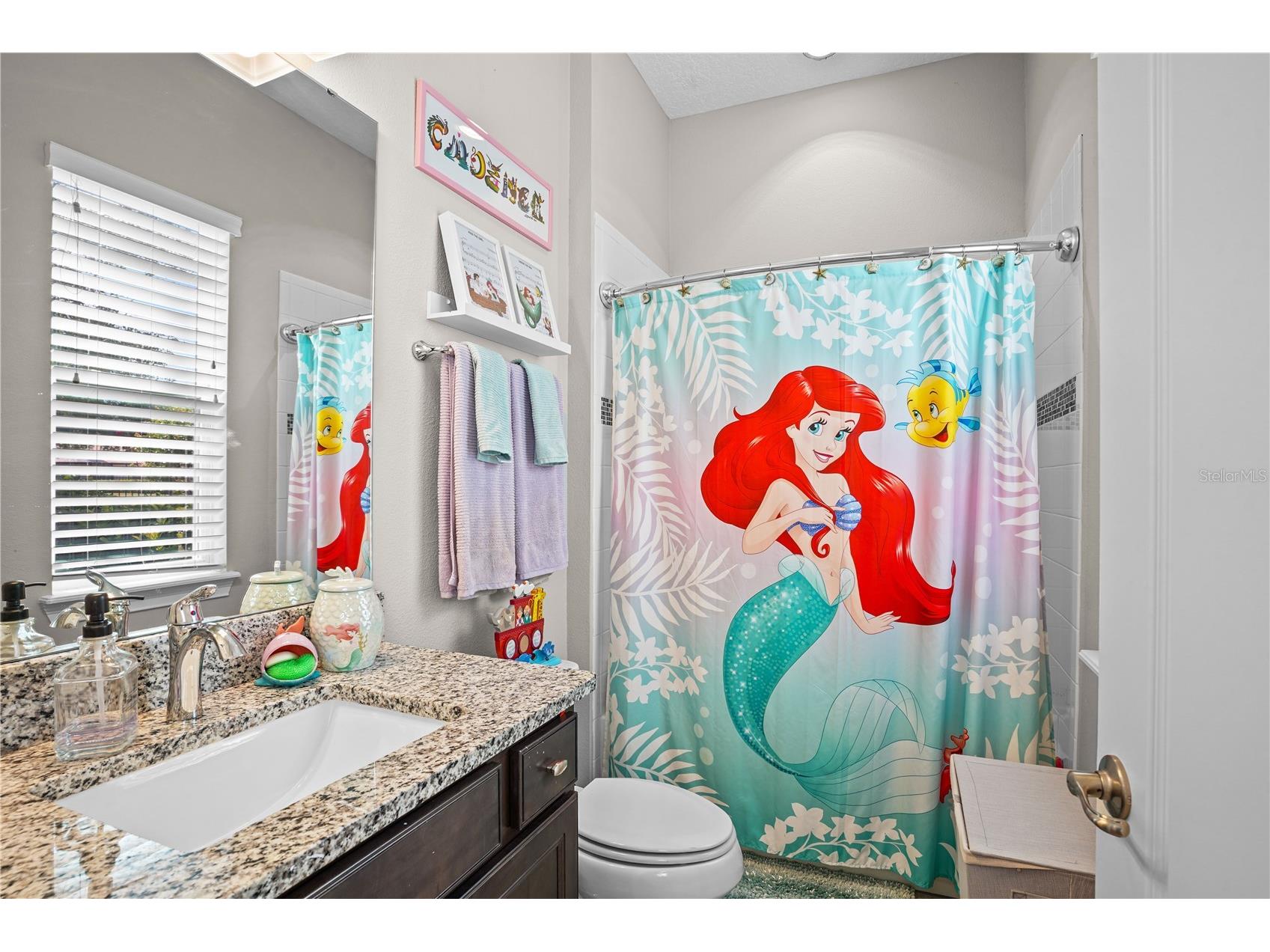 25863 Crossings Bluff Lane Sorrento FL 32776 O6403082 image37