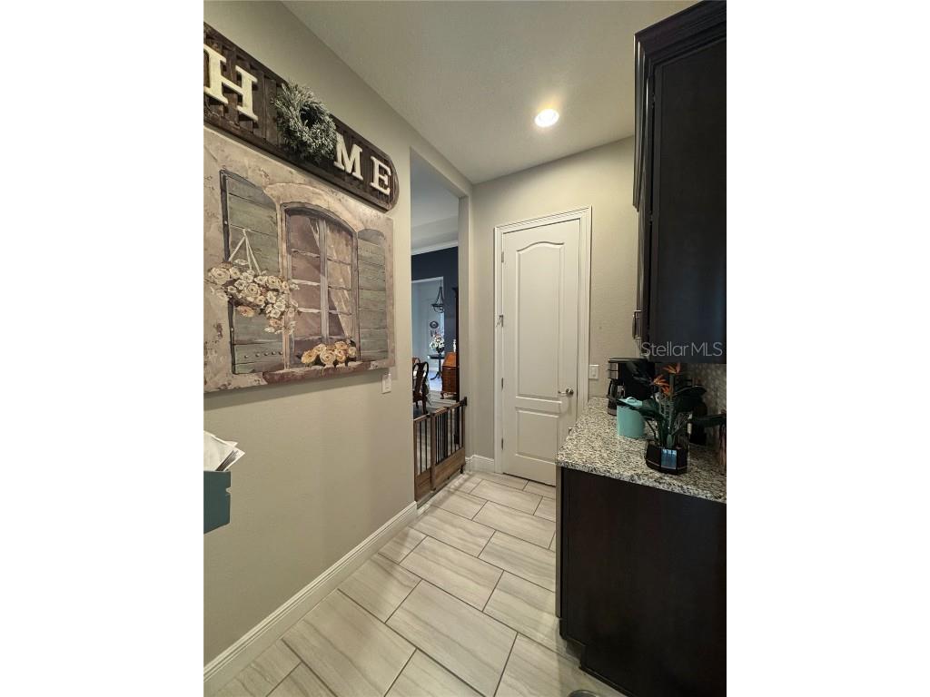 25863 Crossings Bluff Lane Sorrento FL 32776 P4935272 image17