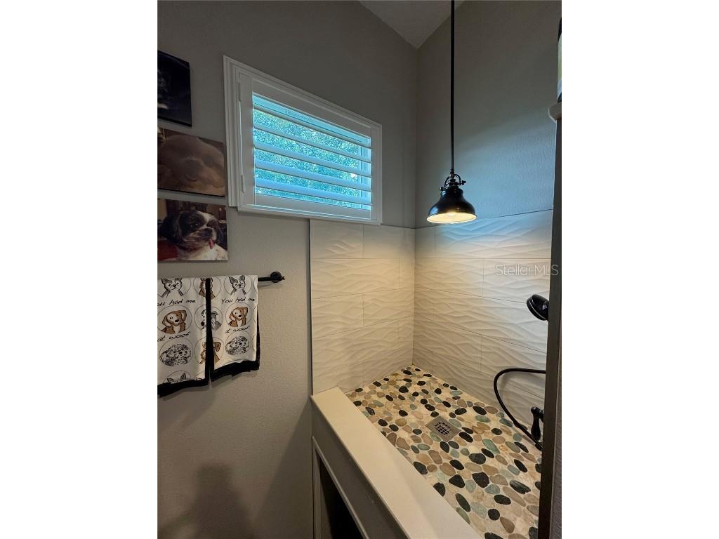 25863 Crossings Bluff Lane Sorrento FL 32776 P4935272 image67