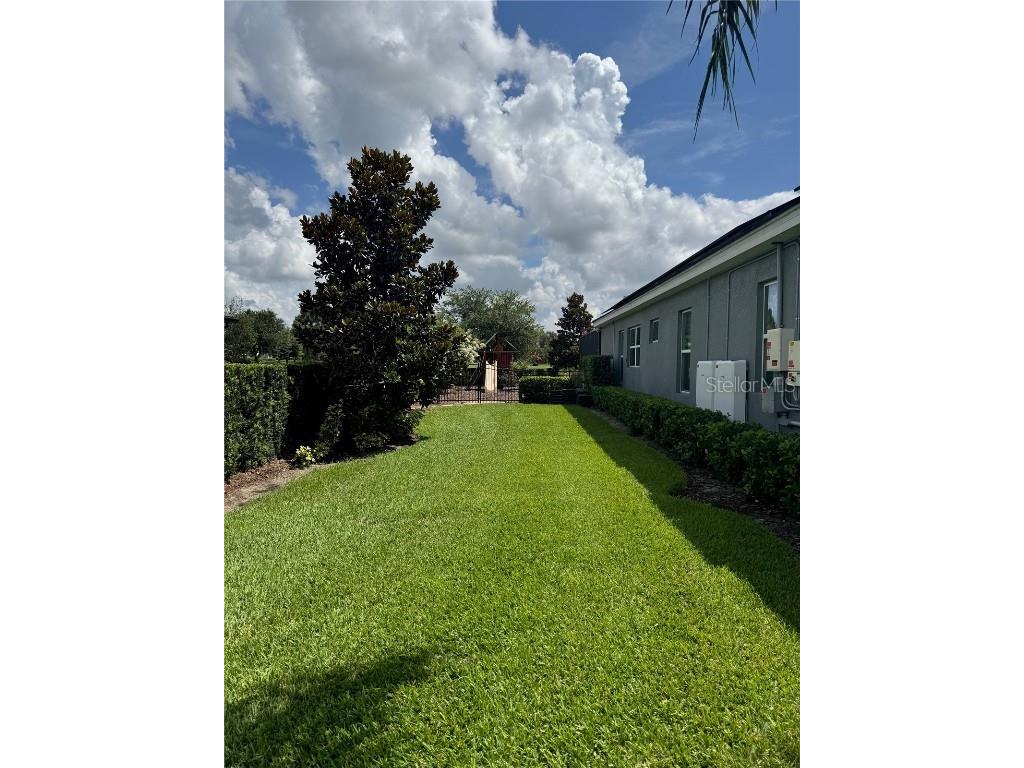 25863 Crossings Bluff Lane Sorrento FL 32776 P4935272 image79