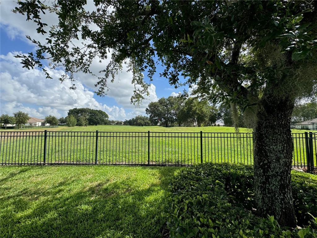25863 Crossings Bluff Lane Sorrento FL 32776 P4935272 image82
