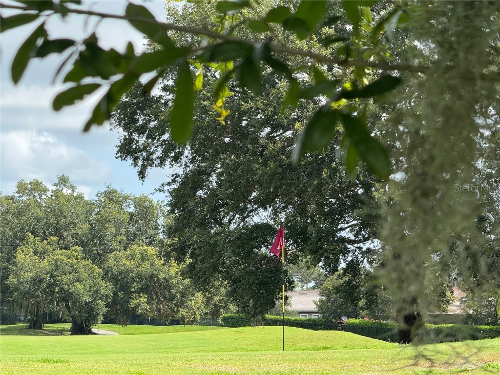 25863 Crossings Bluff Lane Sorrento FL 32776 P4935272 image83