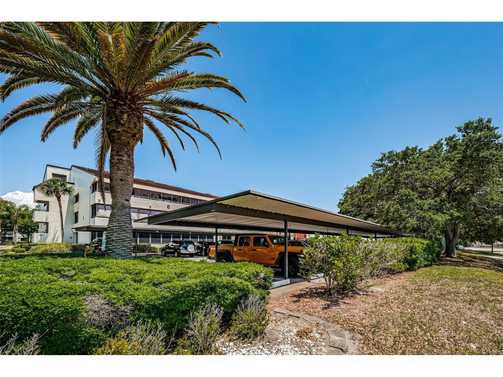 2587 Countryside Boulevard #6109 Clearwater FL 33761 TB8465654 image6