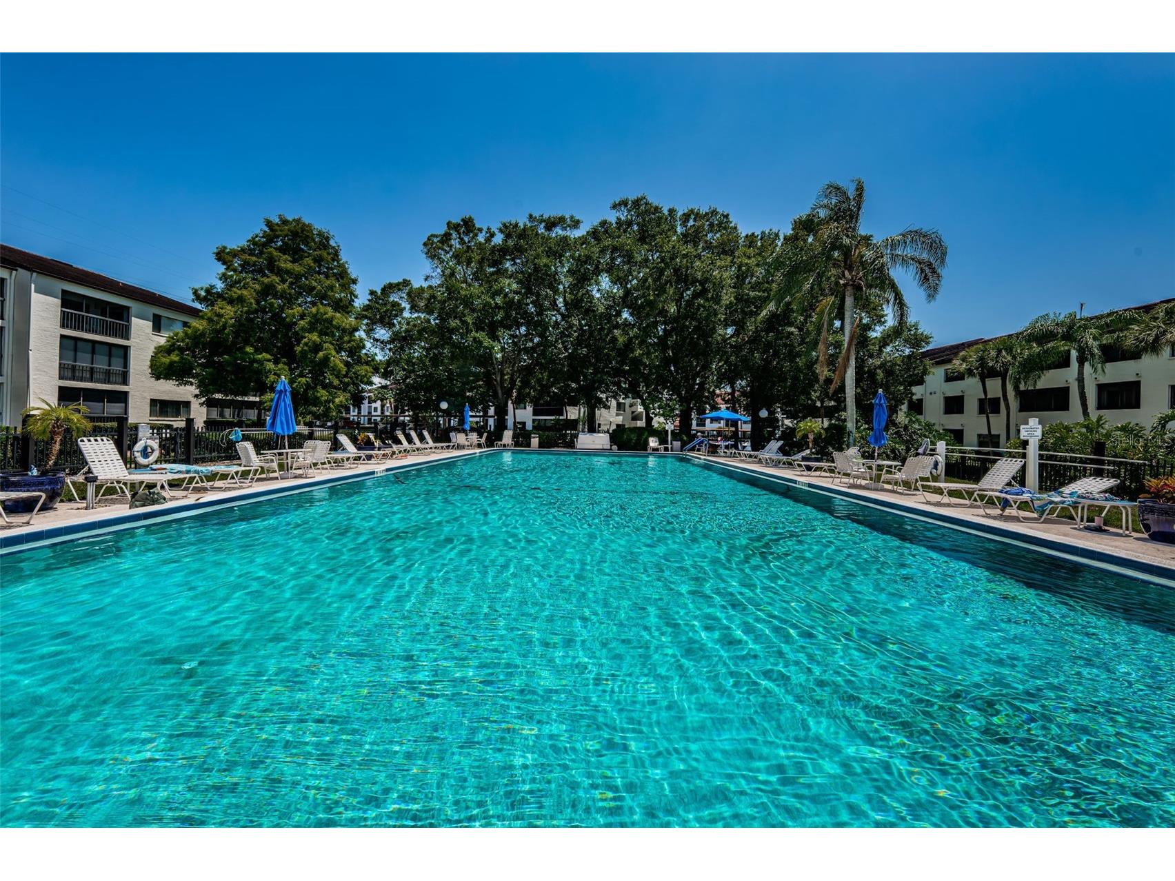 2587 Countryside Boulevard #6109 Clearwater FL 33761 TB8465654 image60