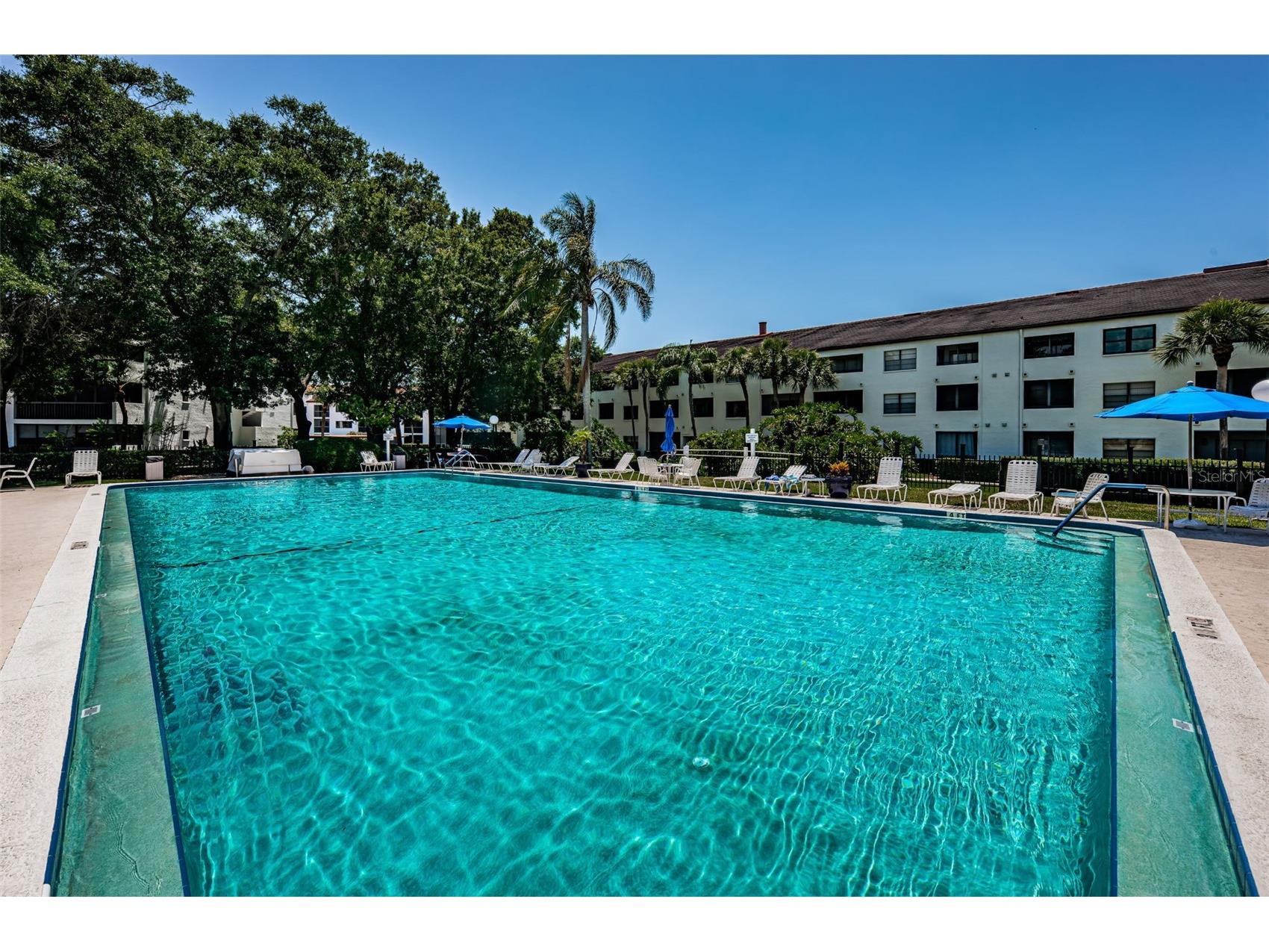 2587 Countryside Boulevard #6109 Clearwater FL 33761 TB8465654 image61