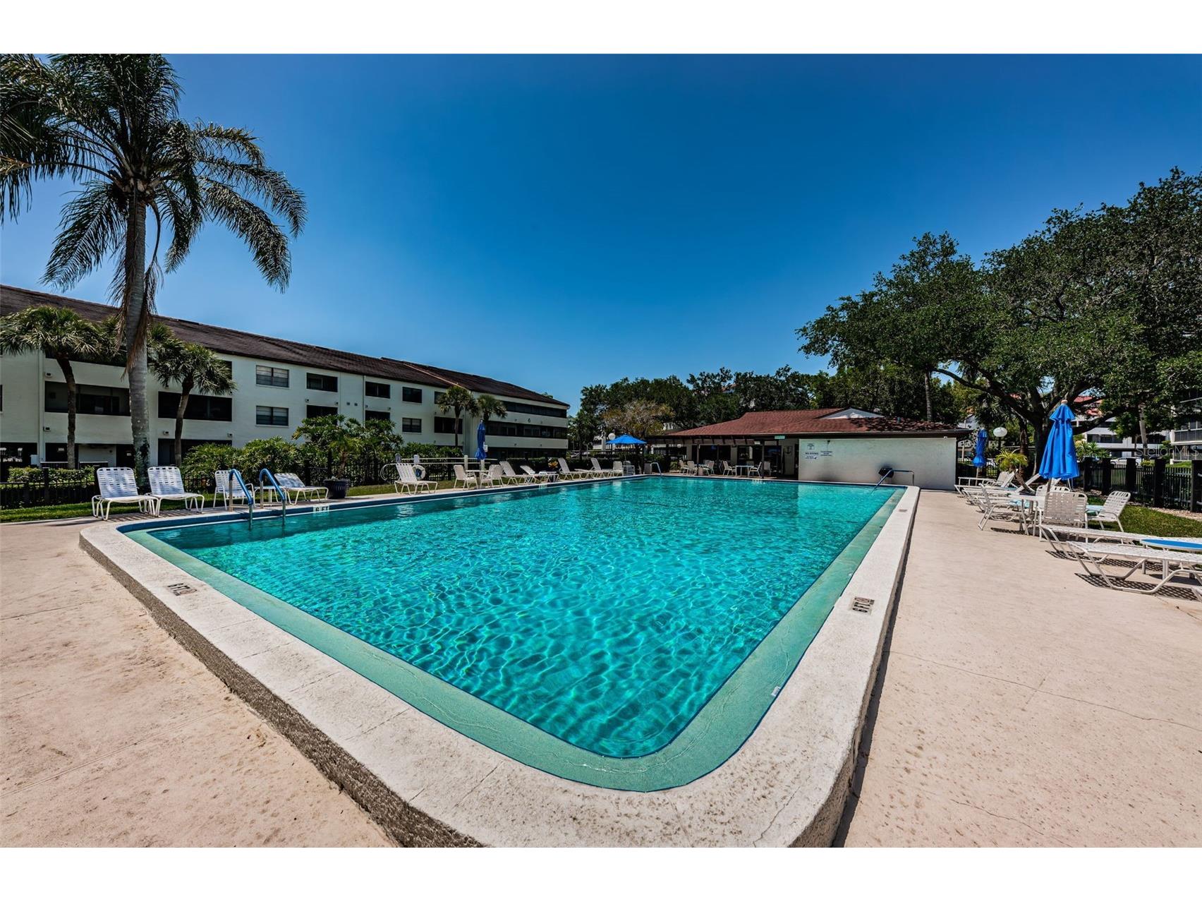 2587 Countryside Boulevard #6109 Clearwater FL 33761 TB8465654 image62