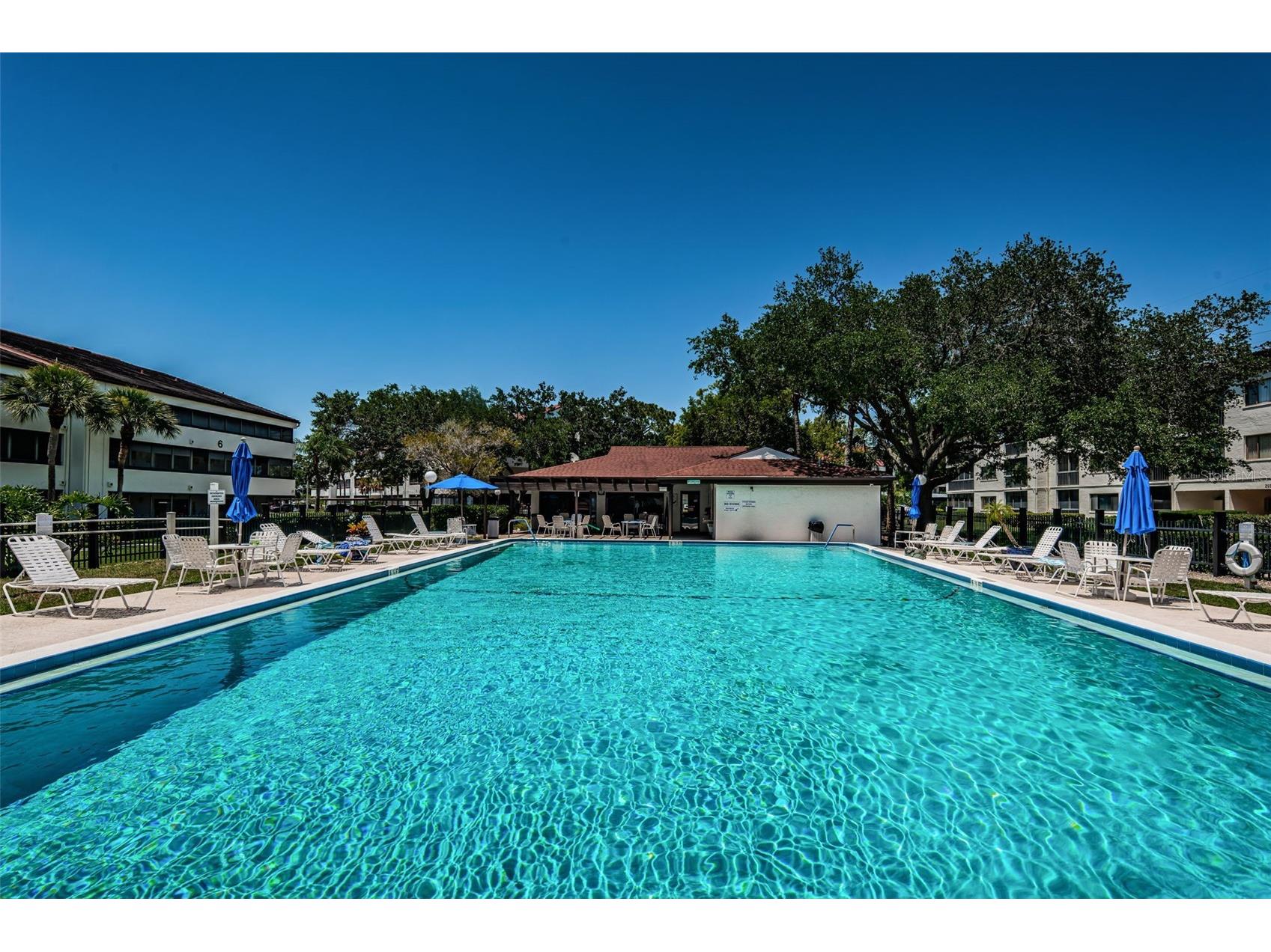 2587 Countryside Boulevard #6109 Clearwater FL 33761 TB8465654 image63