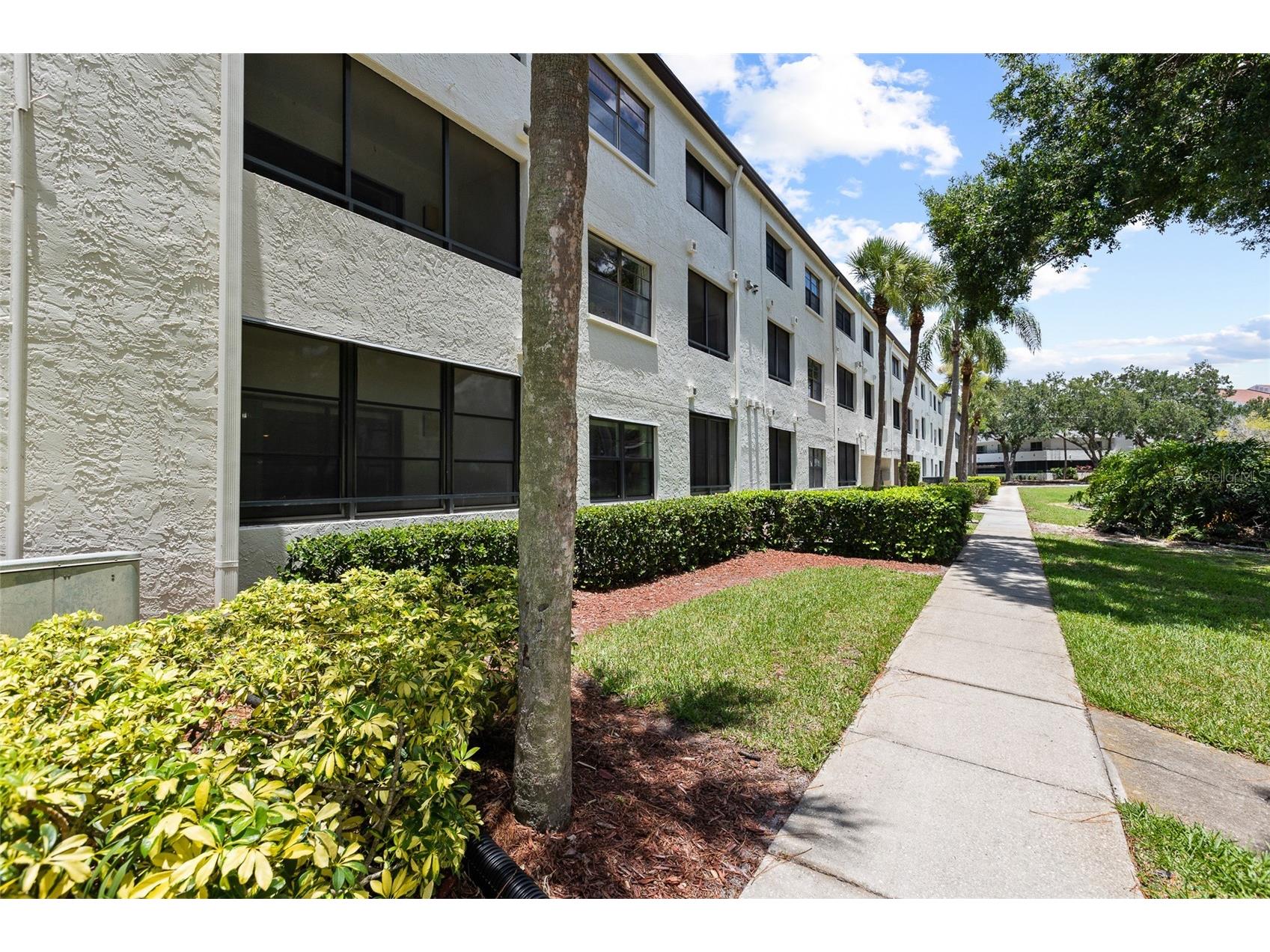 2587 Countryside Boulevard #6110 Clearwater FL 33761 TB8521981 image29