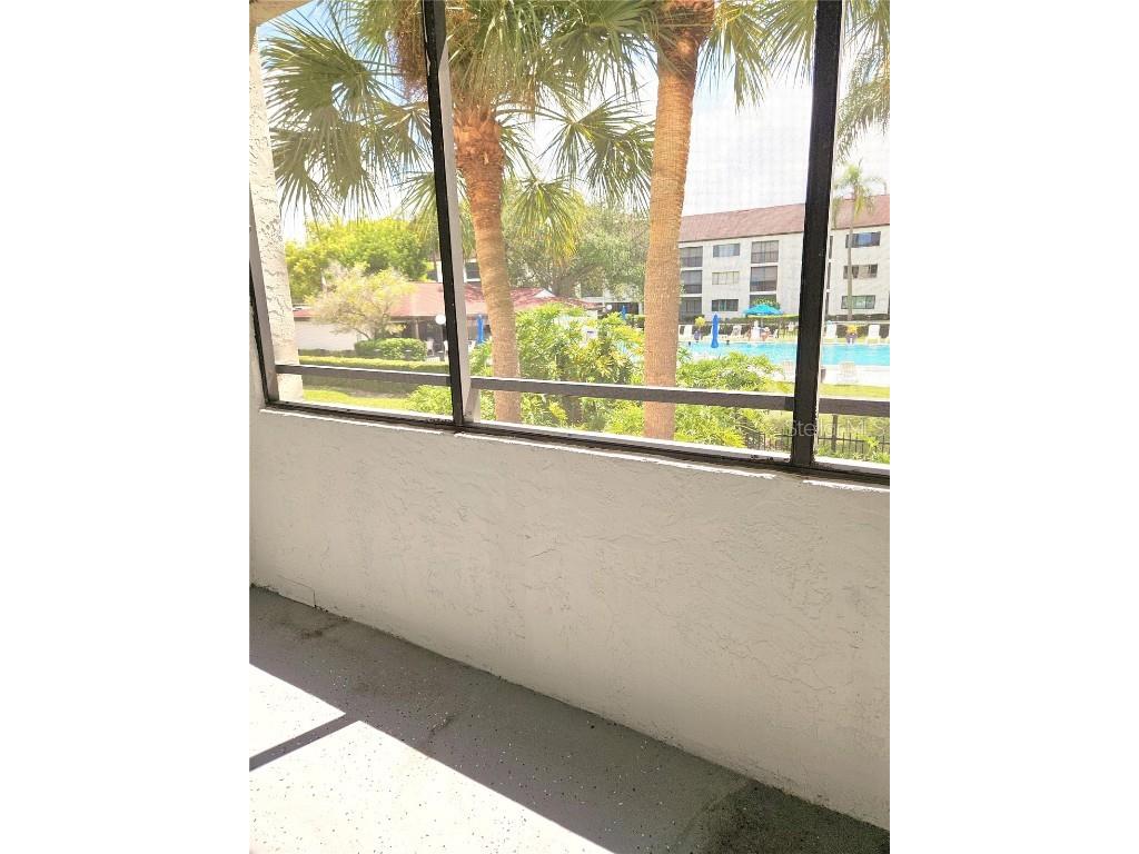 2587 Countryside Boulevard #6207 Clearwater FL 33761 TB8442718 image10