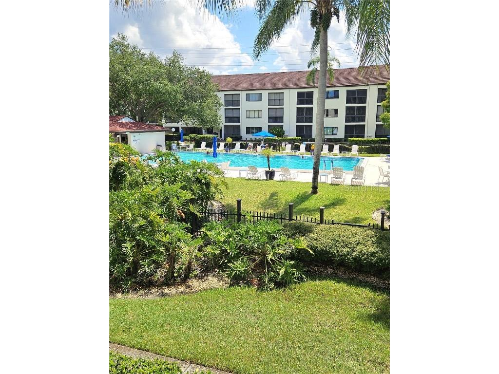 2587 Countryside Boulevard #6207 Clearwater FL 33761 TB8442718 image14