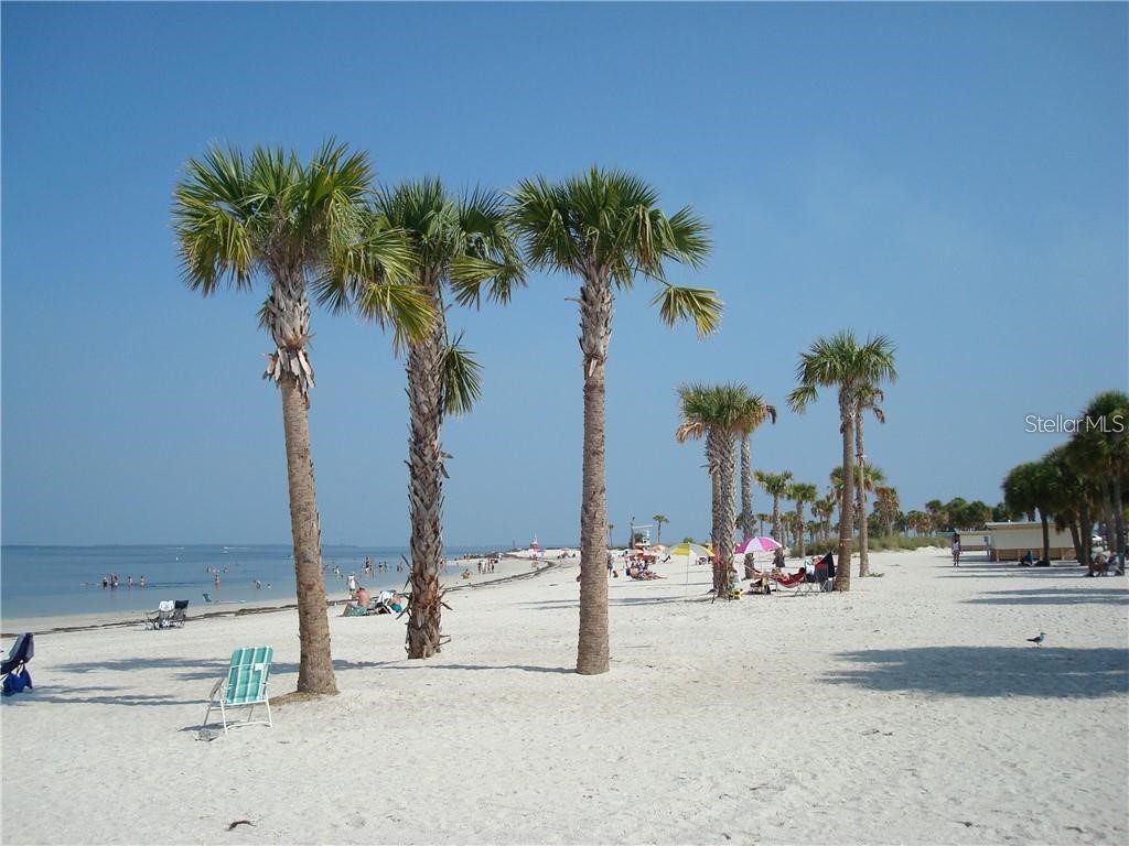 2587 Cyprus Drive #3-214 Palm Harbor FL 34684 - LAKE TARPON TB8479769 image48
