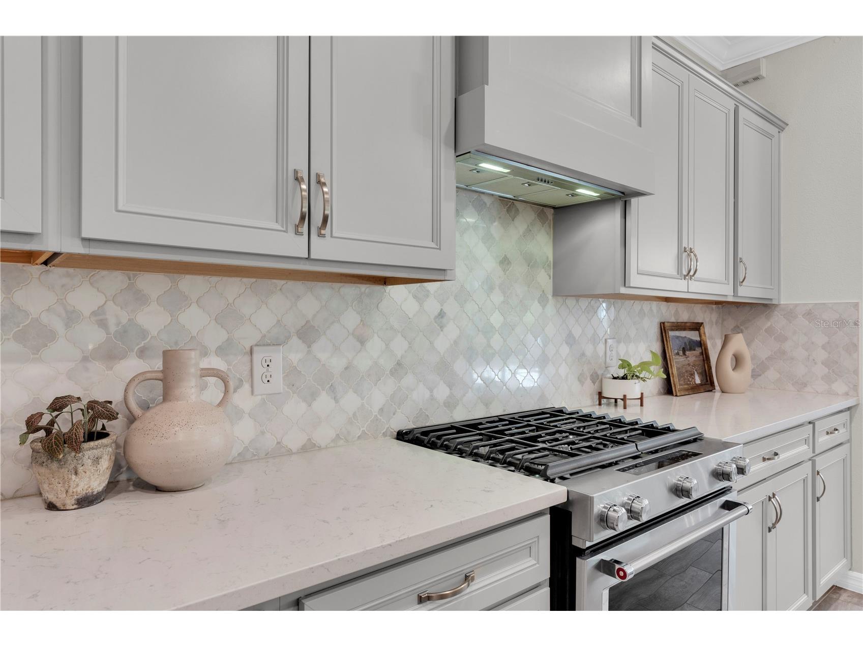 2587 Murray Pass Odessa FL 33556 W7884806 image16