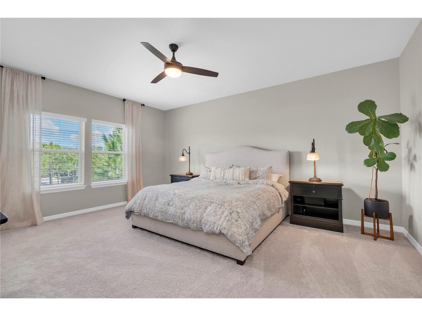 2587 Murray Pass Odessa FL 33556 W7884806 image30