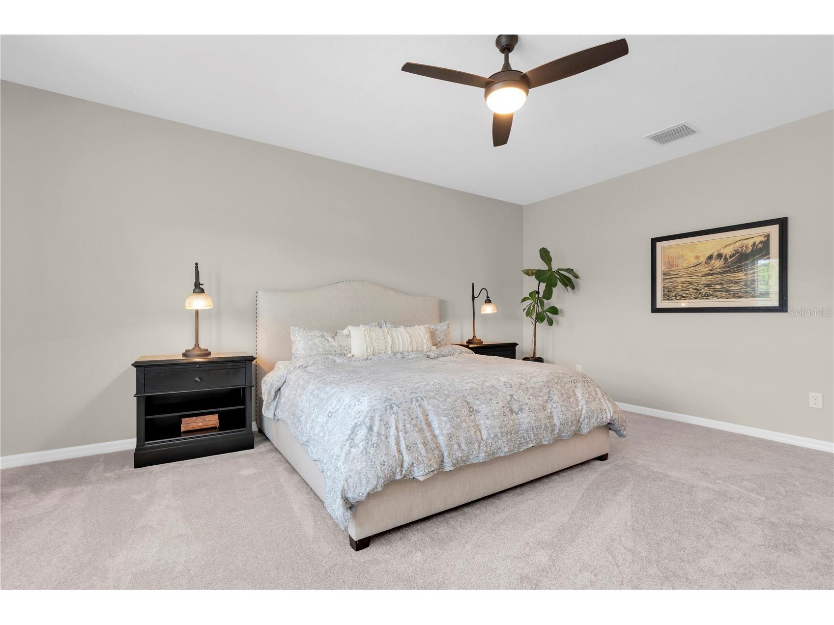 2587 Murray Pass Odessa FL 33556 W7884806 image34