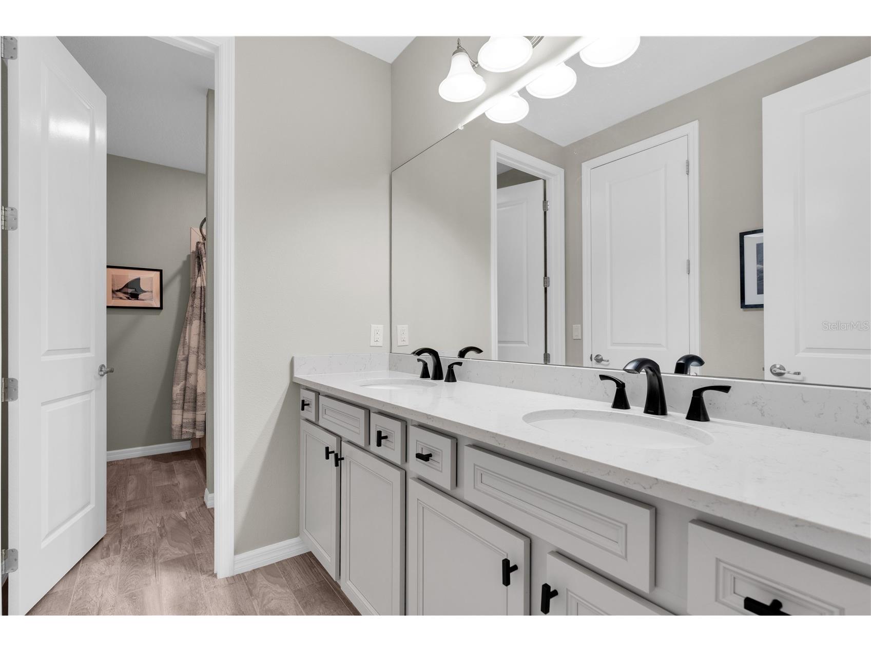 2587 Murray Pass Odessa FL 33556 W7884806 image42