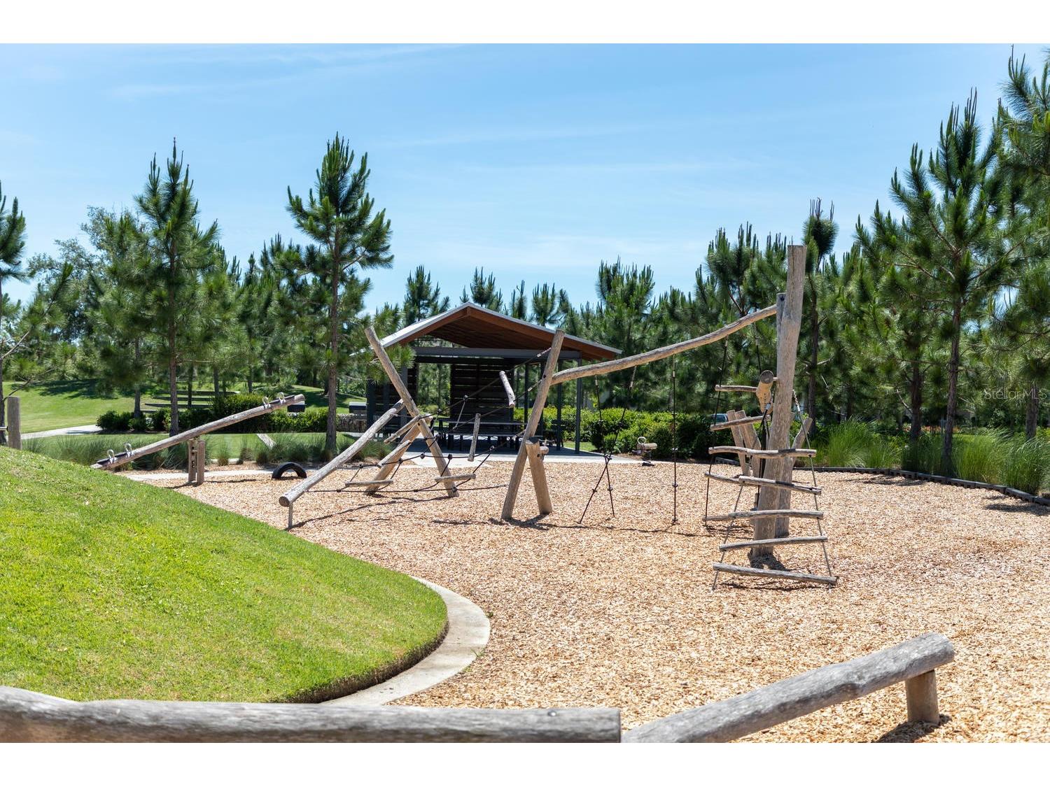 2587 Murray Pass Odessa FL 33556 W7884806 image74