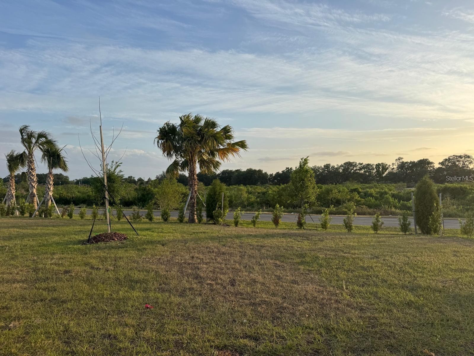2587 Sage Valley Way Winter Haven FL 33884 O6409720 image5