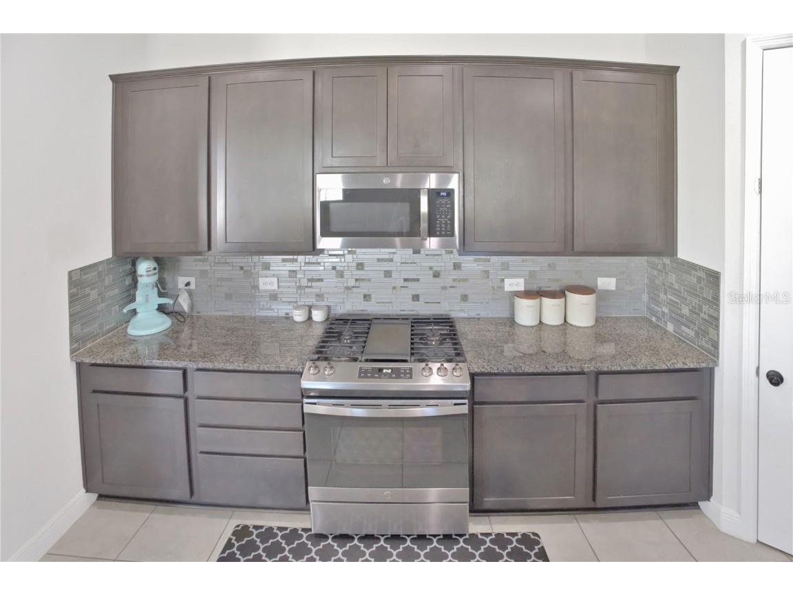 2587 Summer Star Way Leesburg FL 34748 S5118419 image7