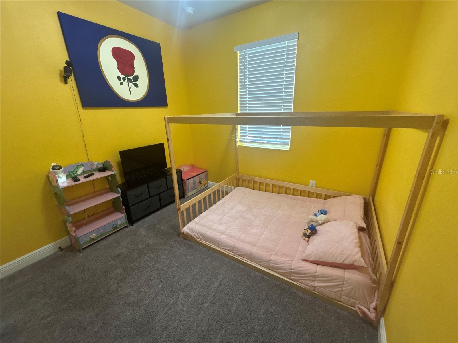 2587 Summer Star Way Leesburg FL 34748 S5151127 image6